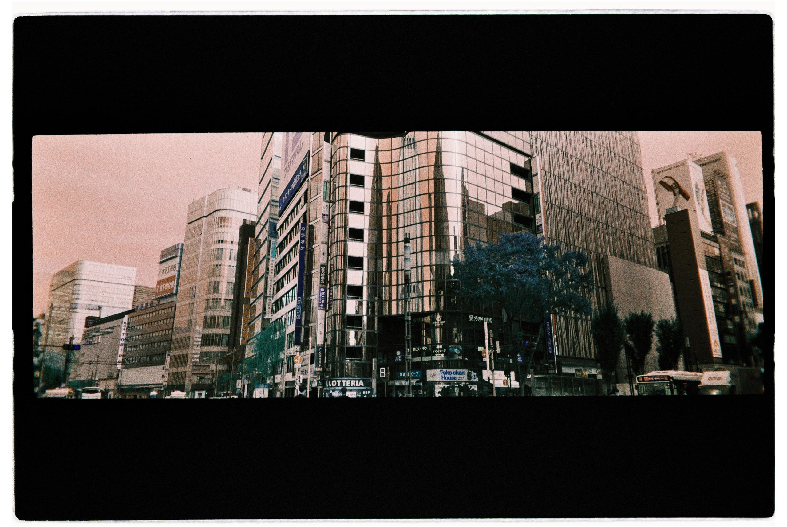 Japan film. Iraogo