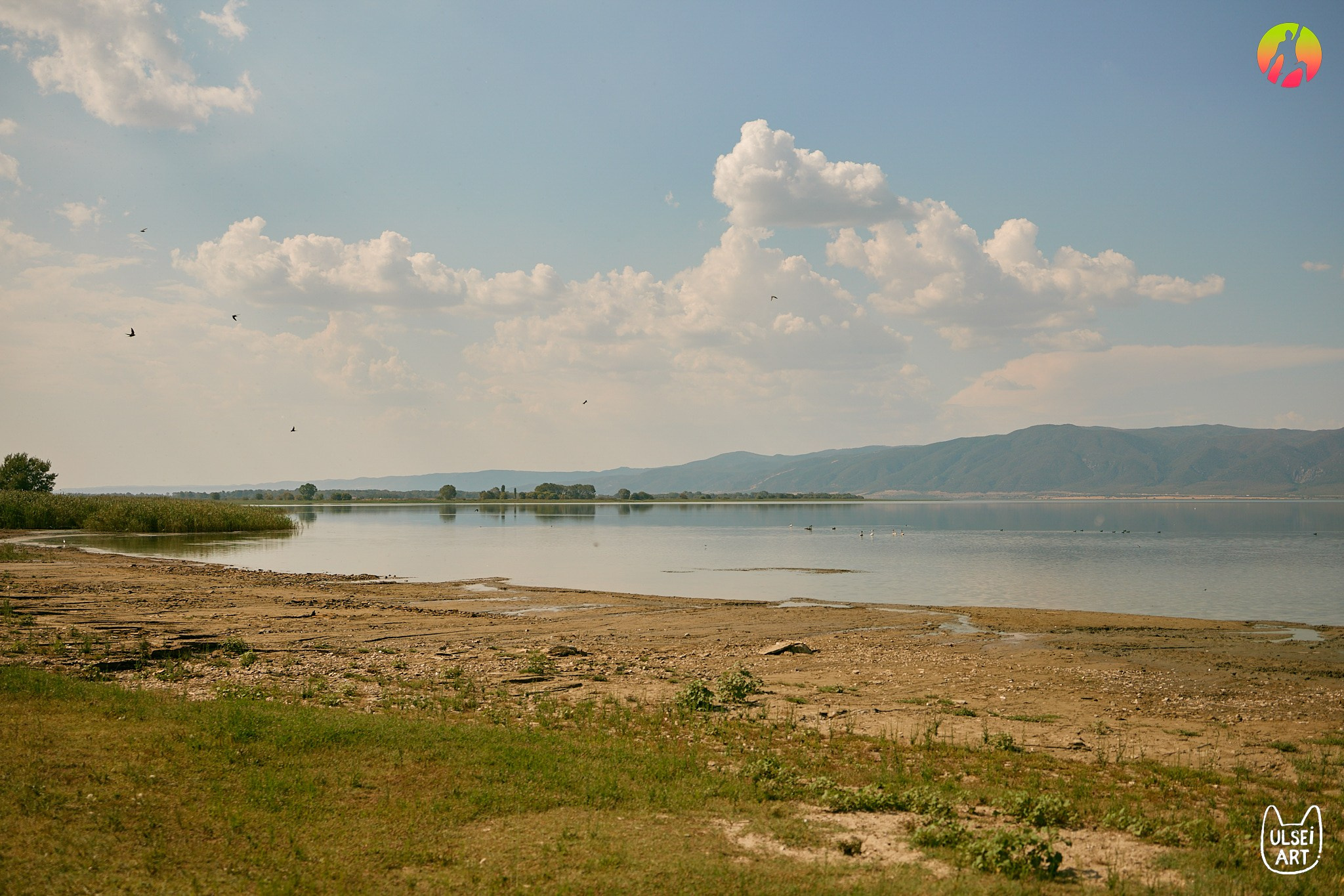 Free Earth festival 2024. Фотохудожник Елена Криулина