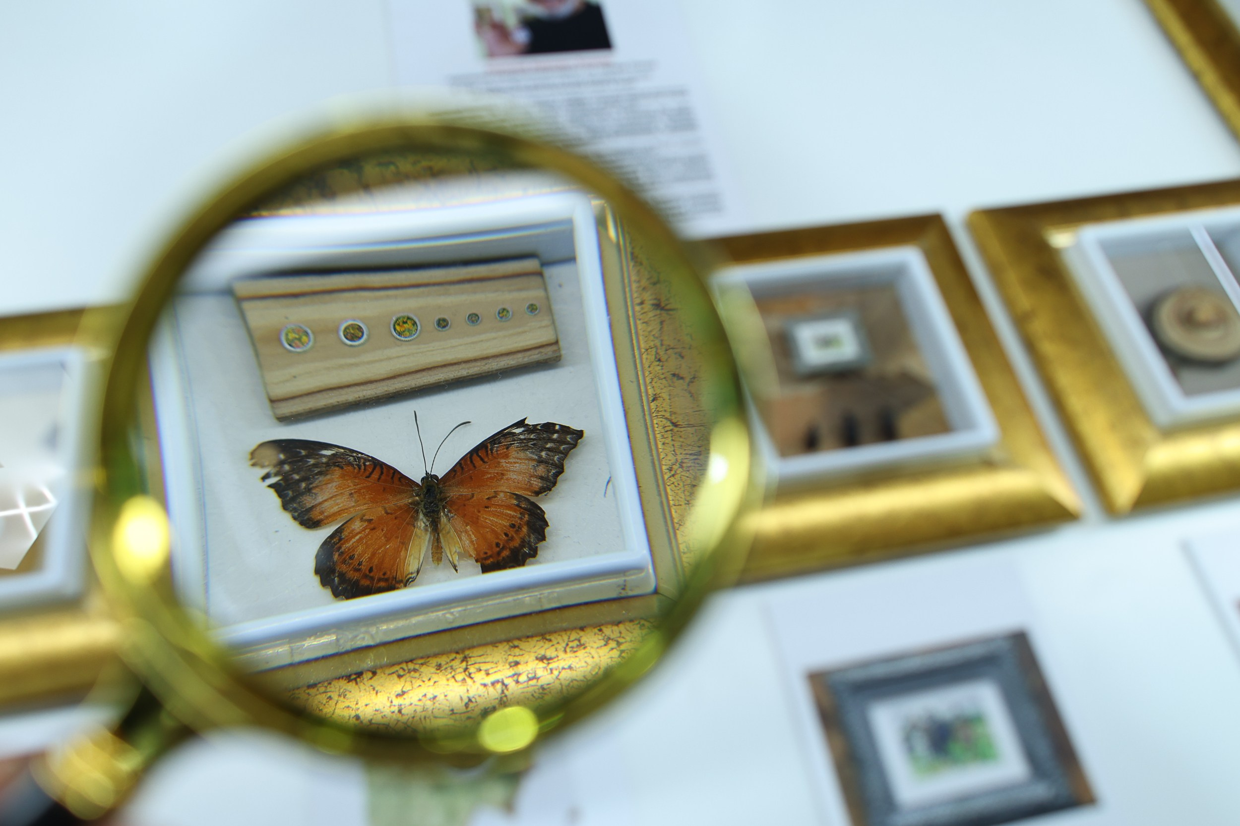 Выставка «Россия». Репортажный, архитектурный, театральный и файн-арт фотограф Лена Мельникова в Москве