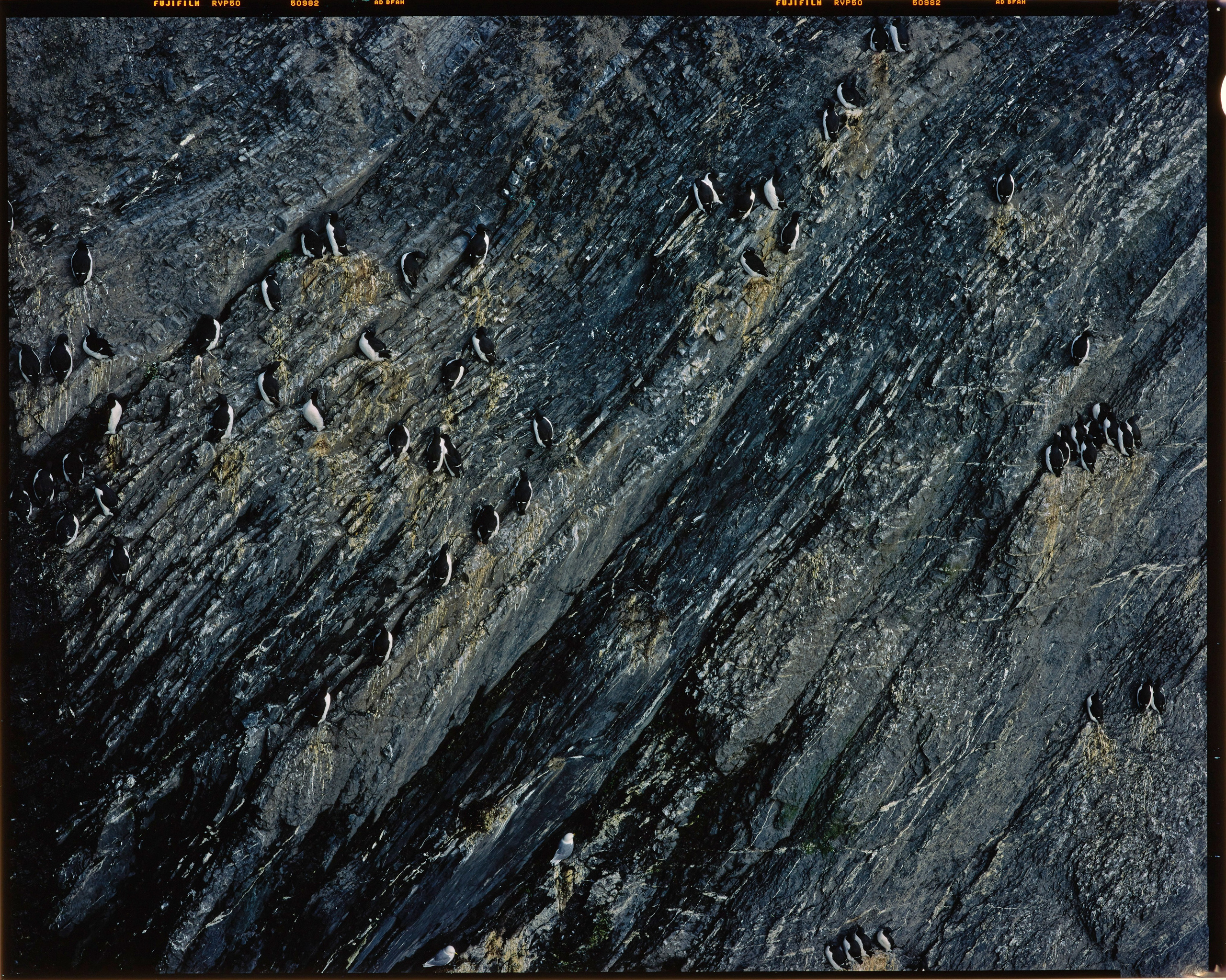 Полевая фотосъёмка форматными камерами. Multica. Мастерская камер большого формата