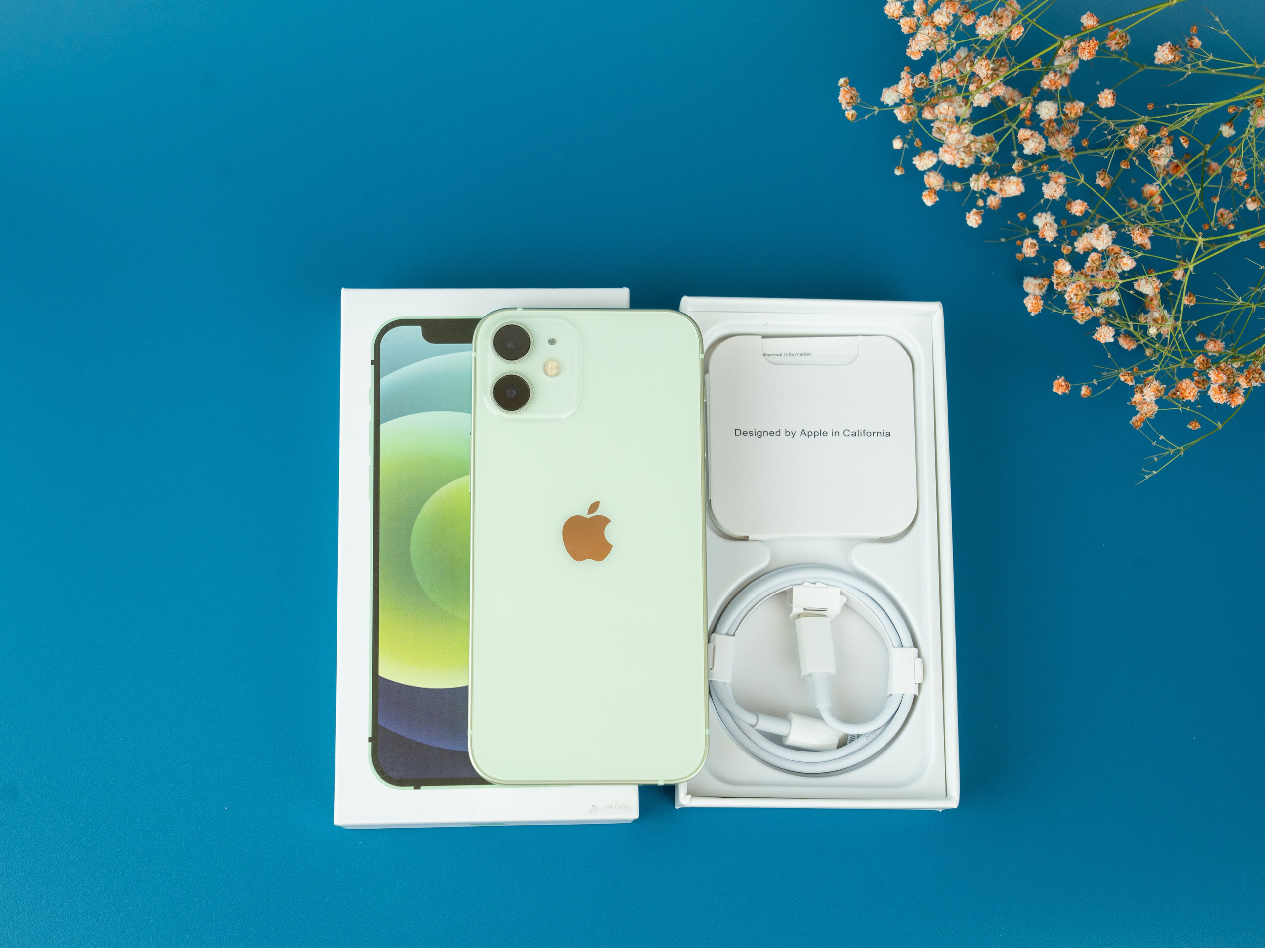 IPhone. Фотограф в Санкт-Петербурге Мария Александрова