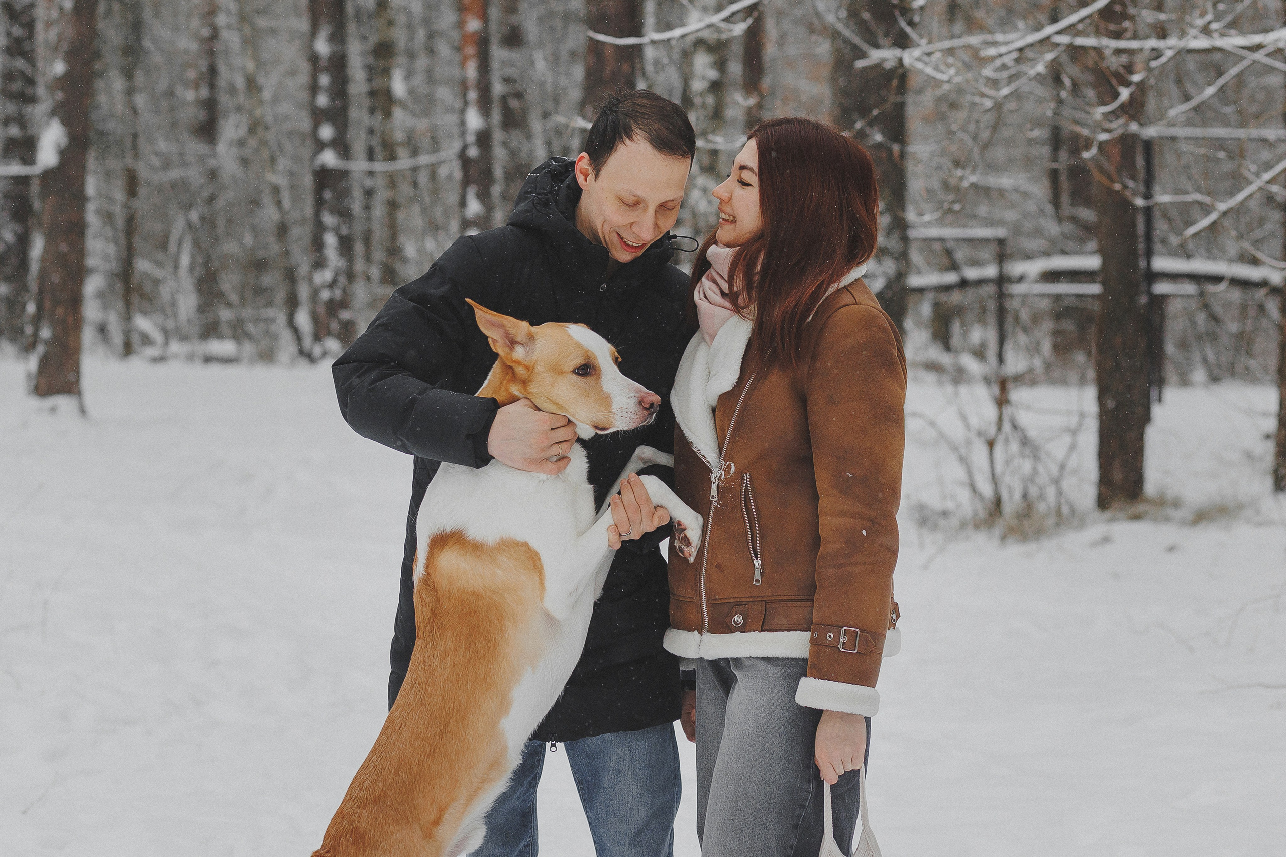 Зимняя фотосессия в лесу с собакой. Фотограф в Москве и Люберцах Анна Ушакова