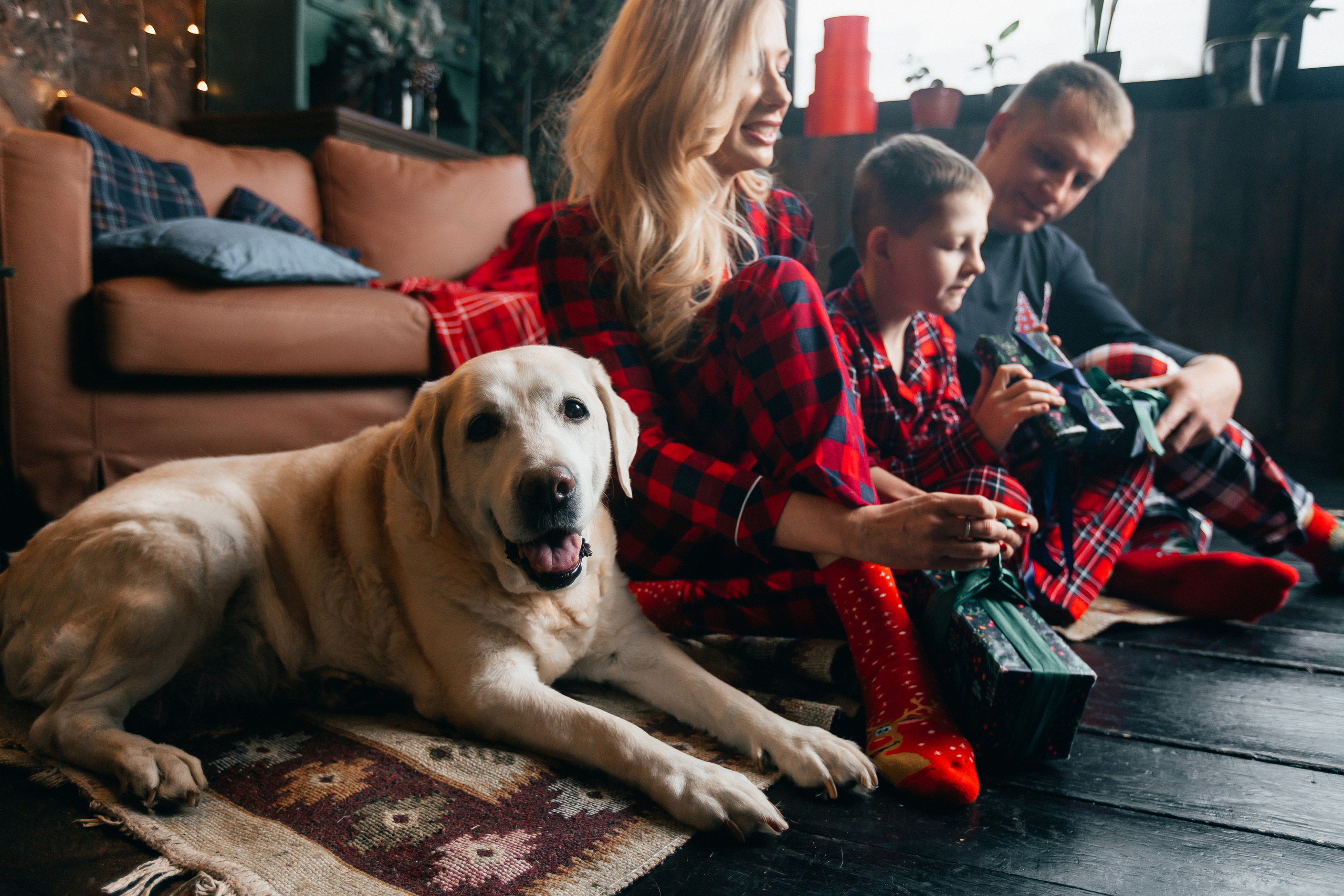 Новогодние фотопроекты. Свадебный и семейный фотограф в Нижнем Новгороде и Москве Сергей Полян