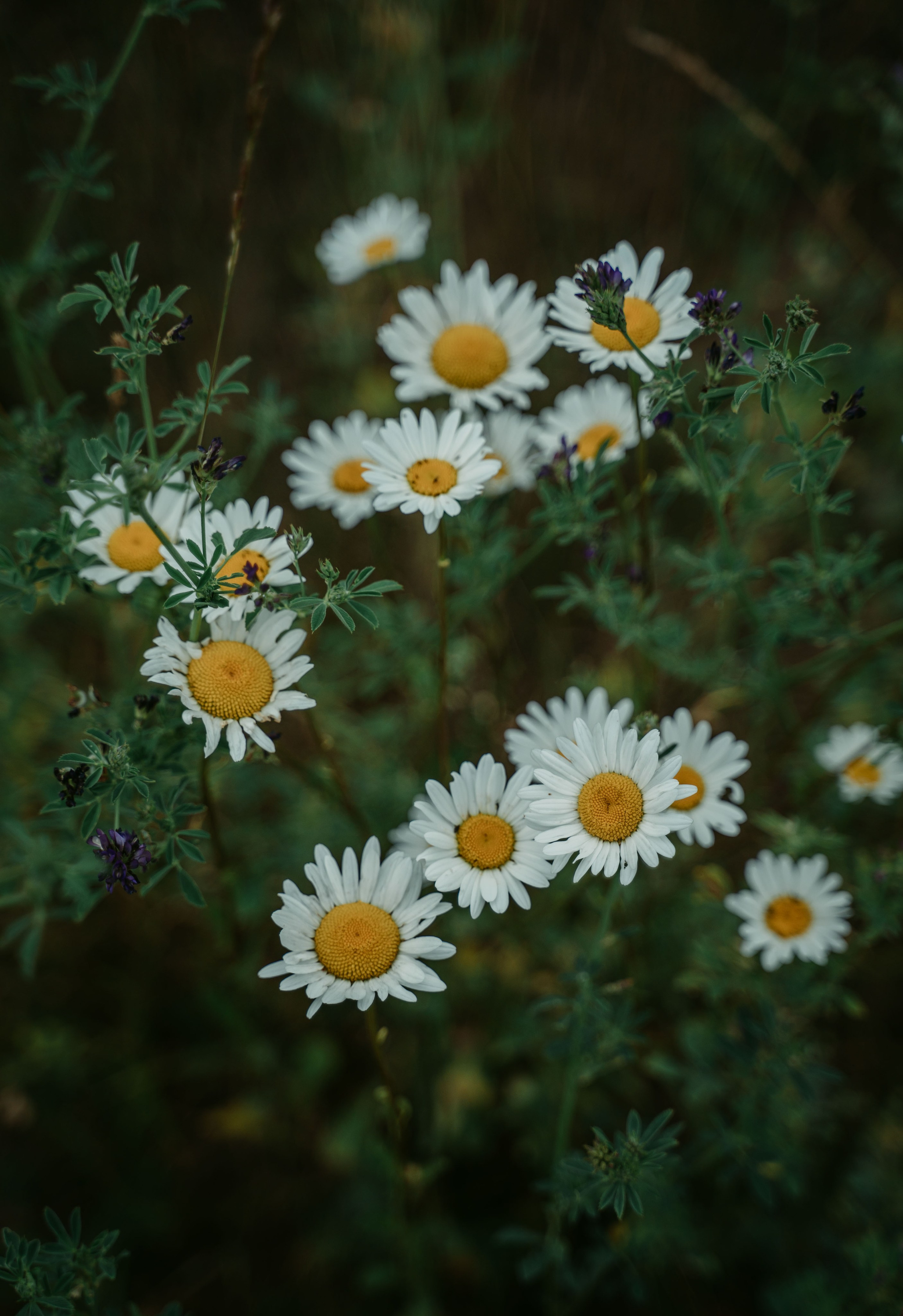 Гектария. Встреча лидеров мнений / 2023. Саша Копылов, фотограф в Казани
