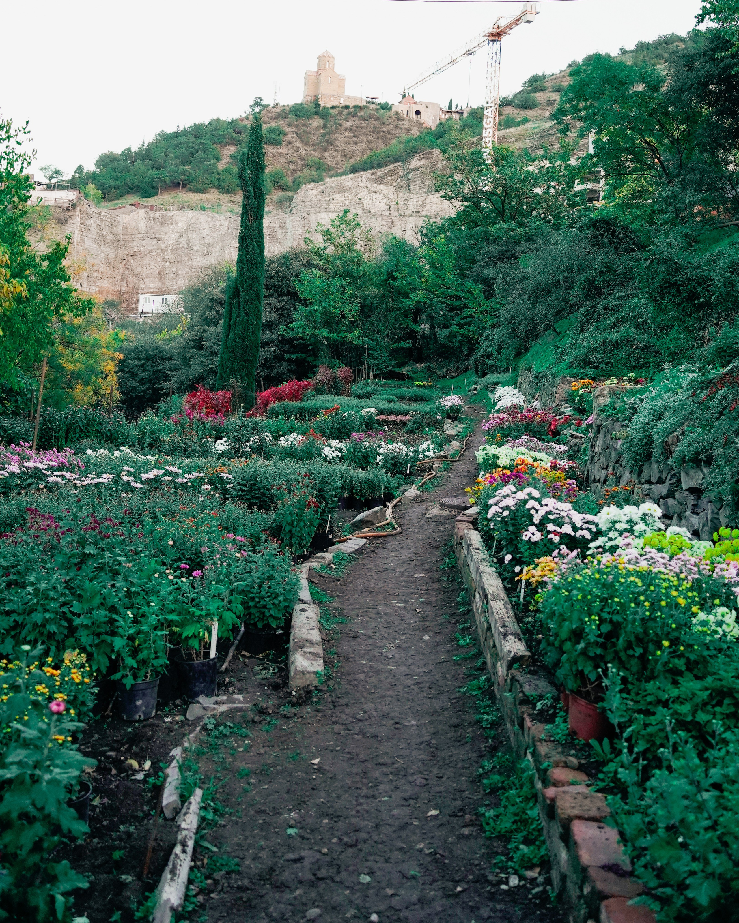 СЕРГЕЙ | БОТАНИЧЕСКИЙ САД ТБИЛИСИ. Photographer Barcelona