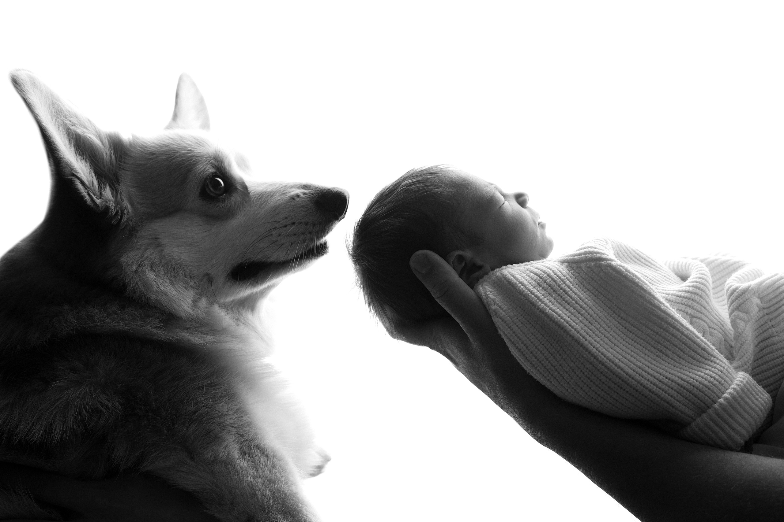 Новорождённые. Фотограф новорожденных Оренбург Оксана Трофимова