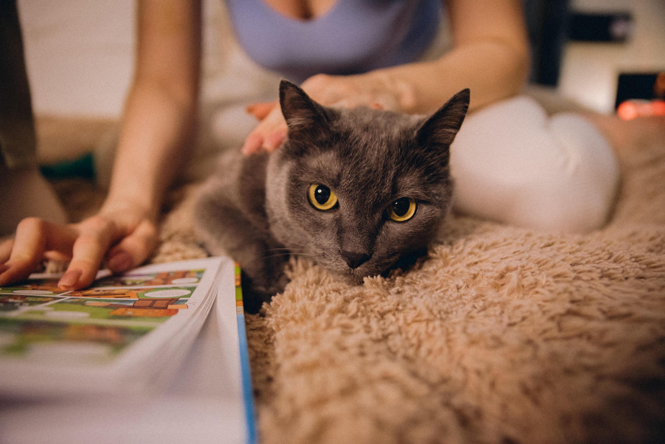 Юля и Лев. Фотограф в Новосибирске Полина Колмачевская