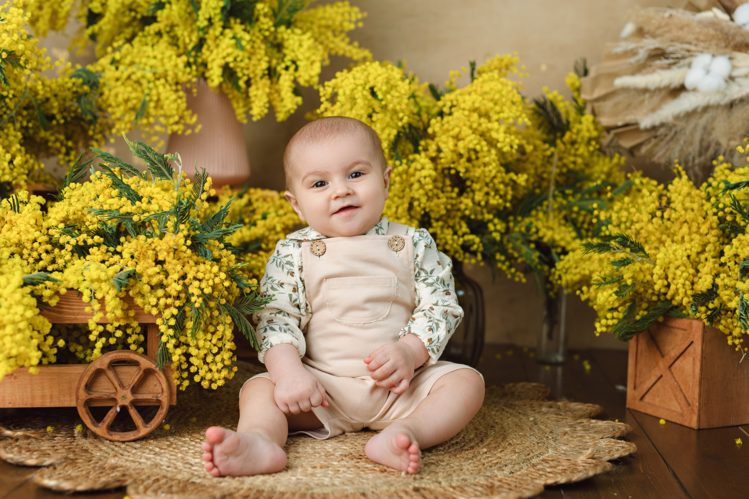 Мимозы. Фотограф Болотова Иветта