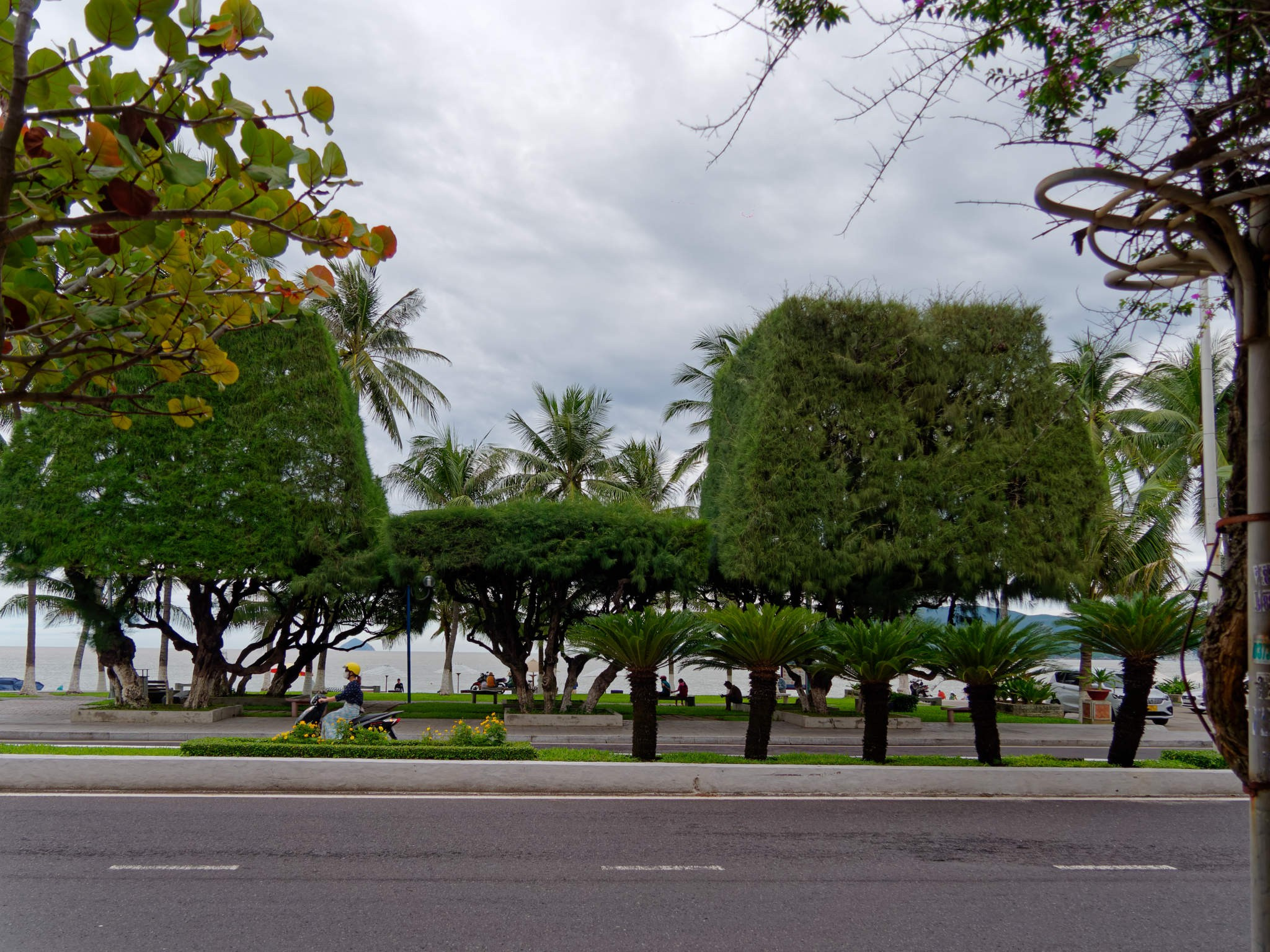 Нячанг 2023. Избранные фотографии