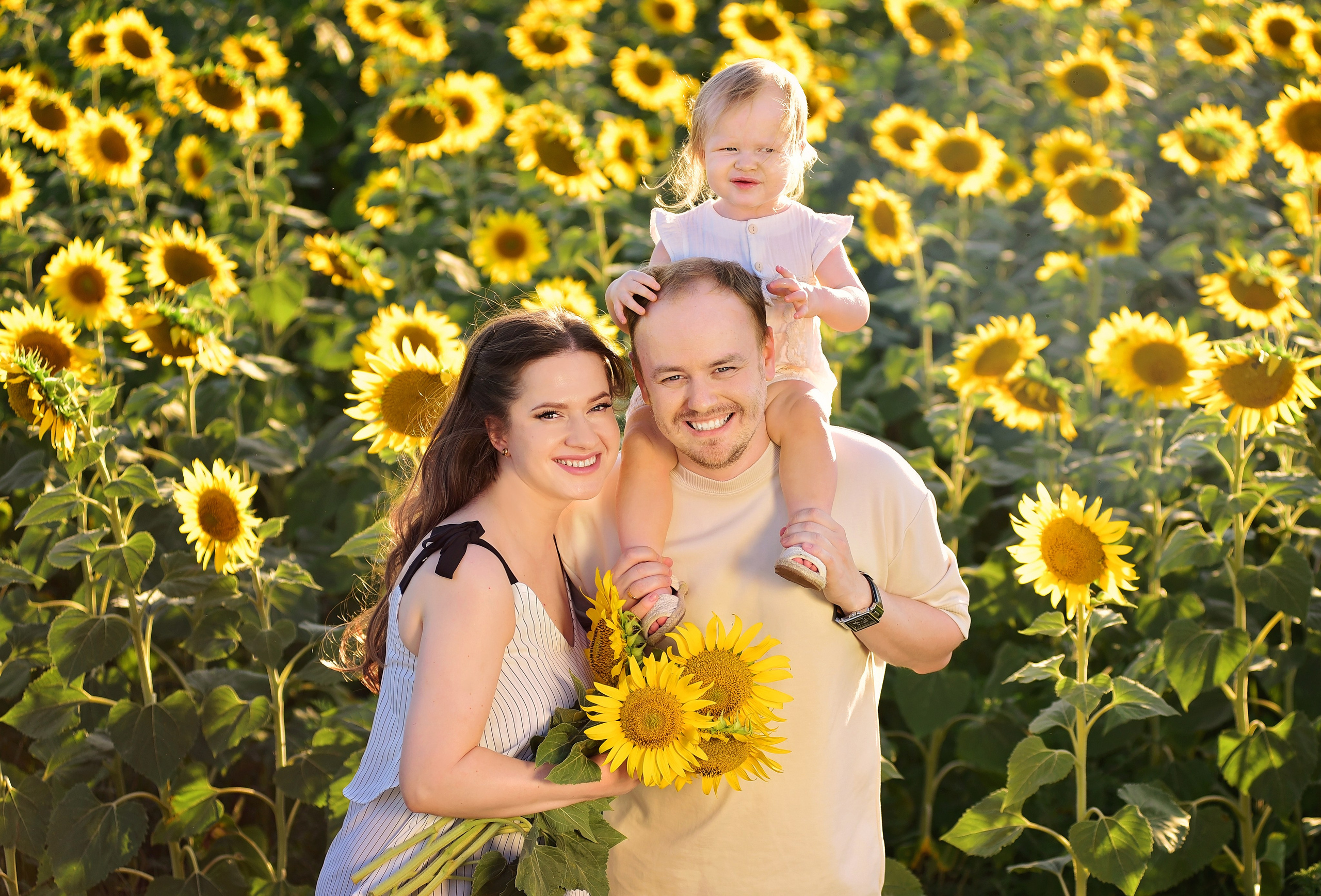 Подсолнухи. Главная