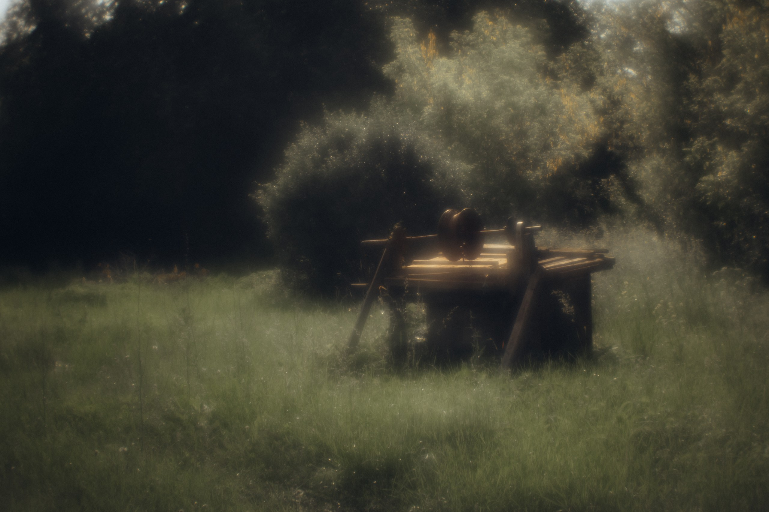 Пикториальный альбом. Семейный LIFESTYLE фотограф в Москве