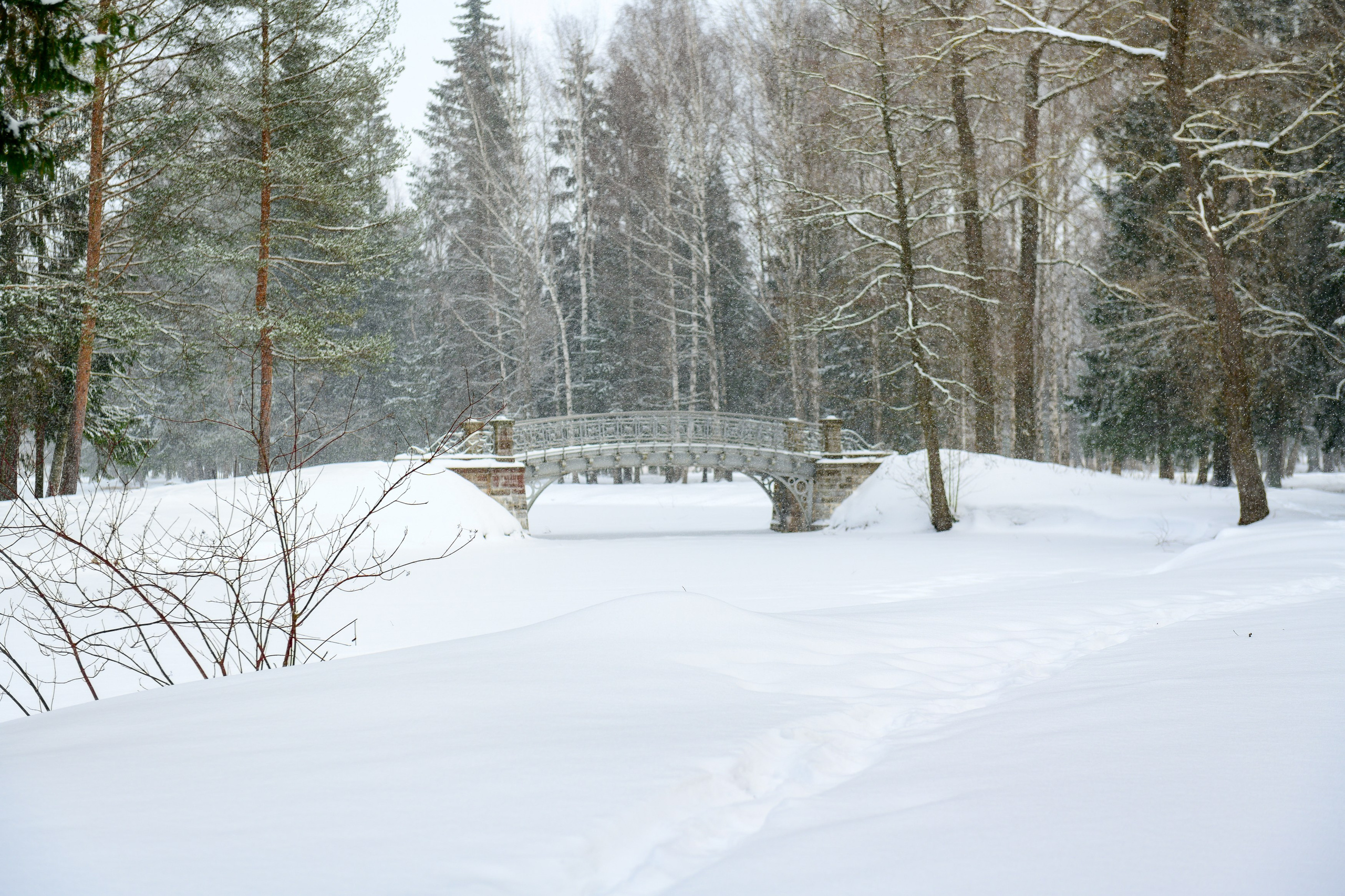 SAINT PETERSBURG | SUBURBS. Personal website of photographer Dmitry Raikin