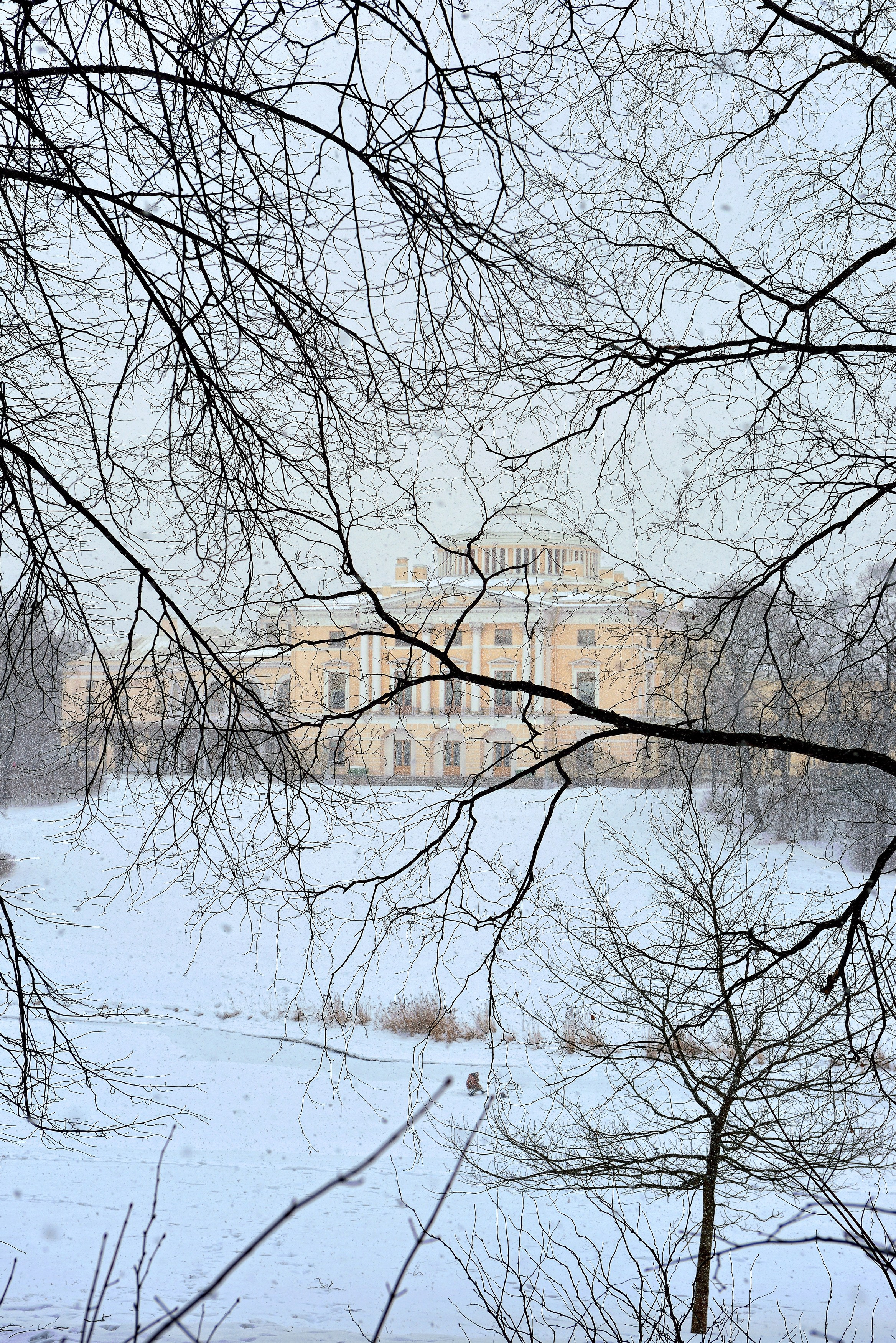 SAINT PETERSBURG | SUBURBS. Personal website of photographer Dmitry Raikin