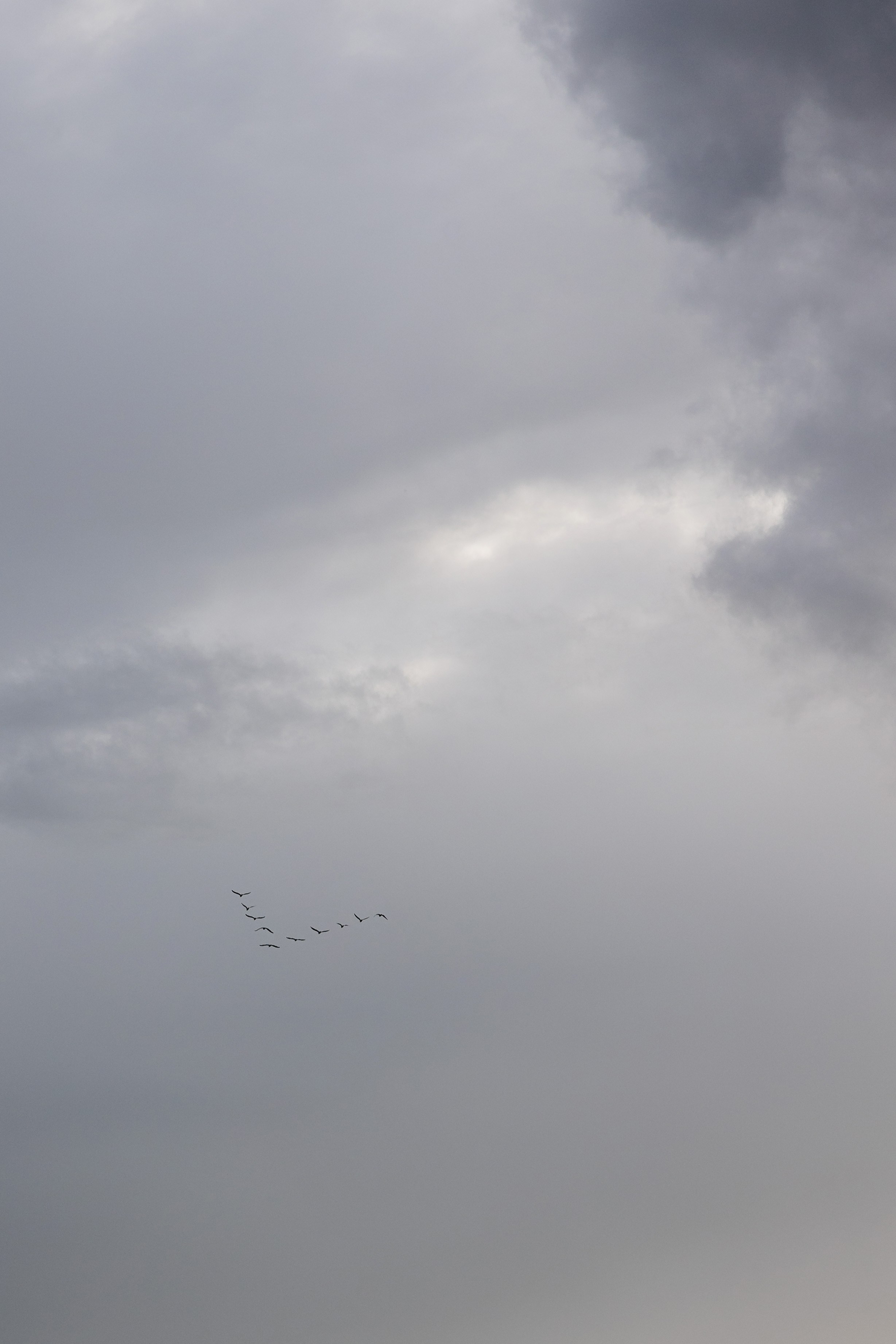 Пески. Свадебный фотограф Воронеж Москва СПБ