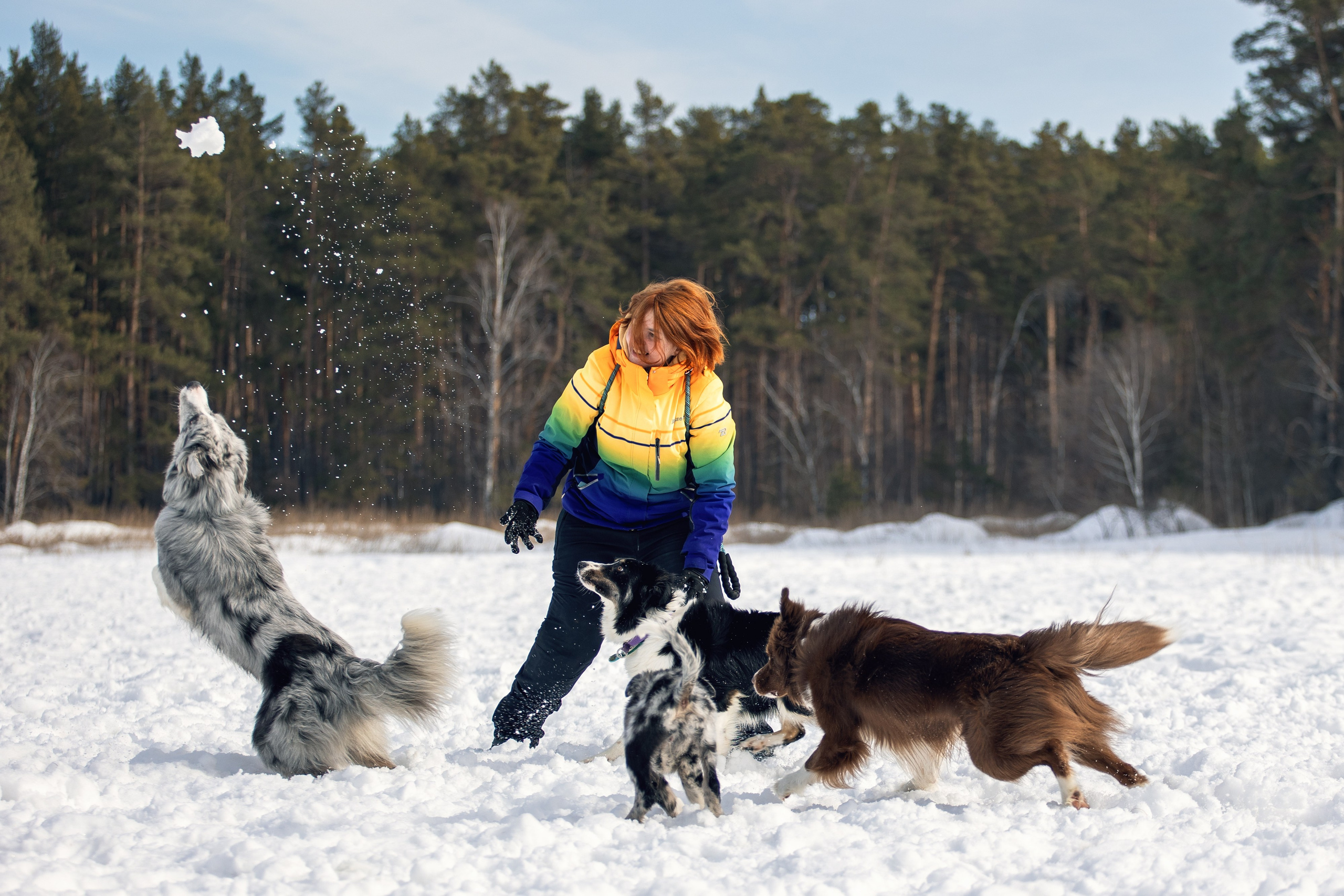 В погоне за снежком…. YULA KOLESOVA | Фотограф — Анималист | Художник | Тюмень