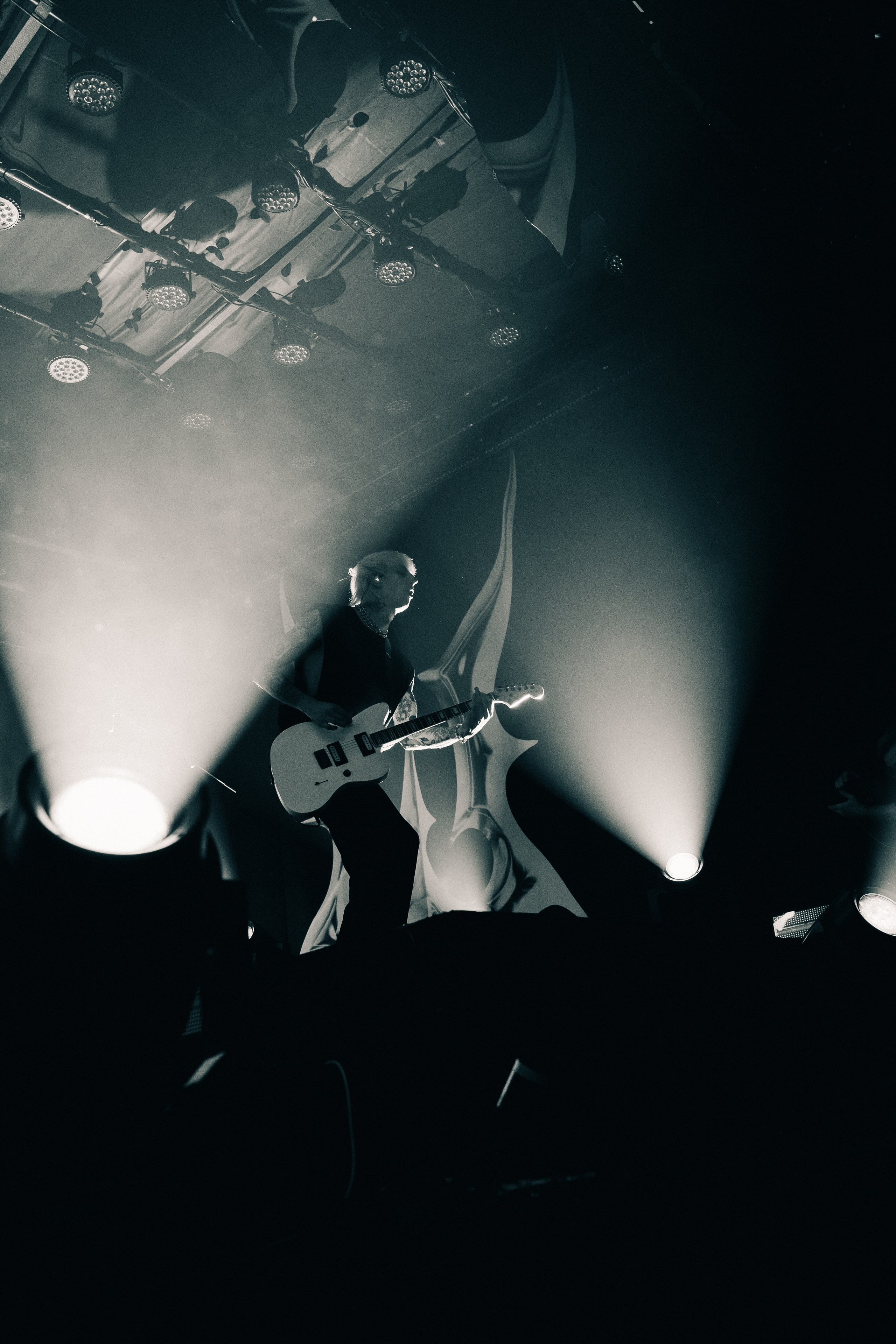 WILDWAYS. PASHAHARCE PHOTOGRAPHER & VIDEOGRAPHER