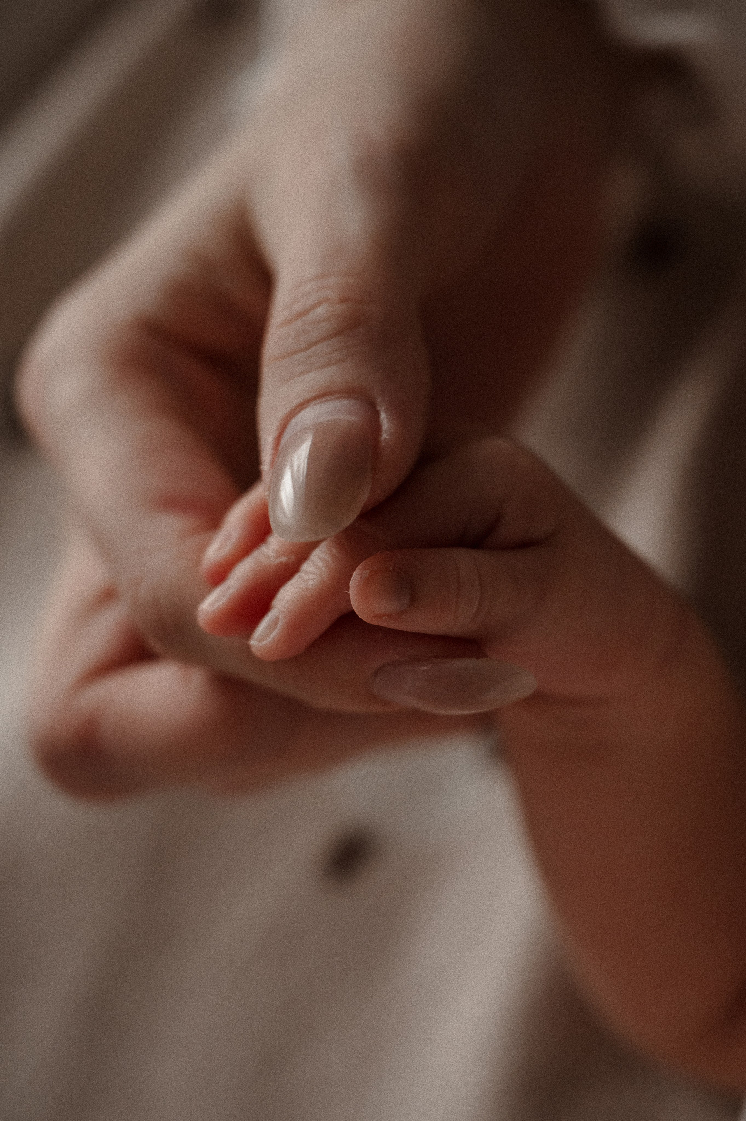 Домашняя съемка. Ньюборн и семейный фотограф в Нижнем Новгороде Надежда Веренчук