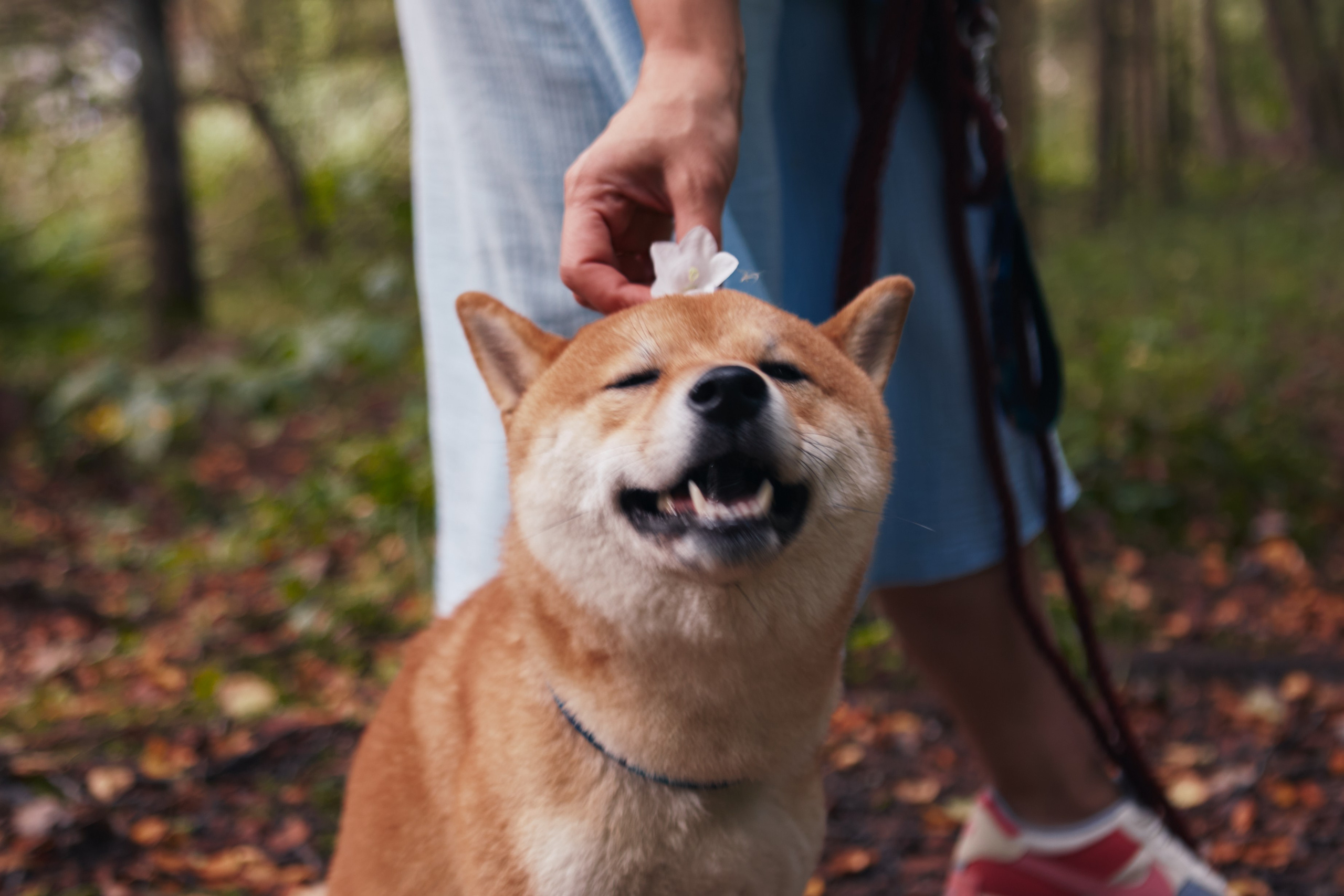 Katya & Rokki. Portrait, family and pet photographer in Cyprus, Ksenia Bourdelle