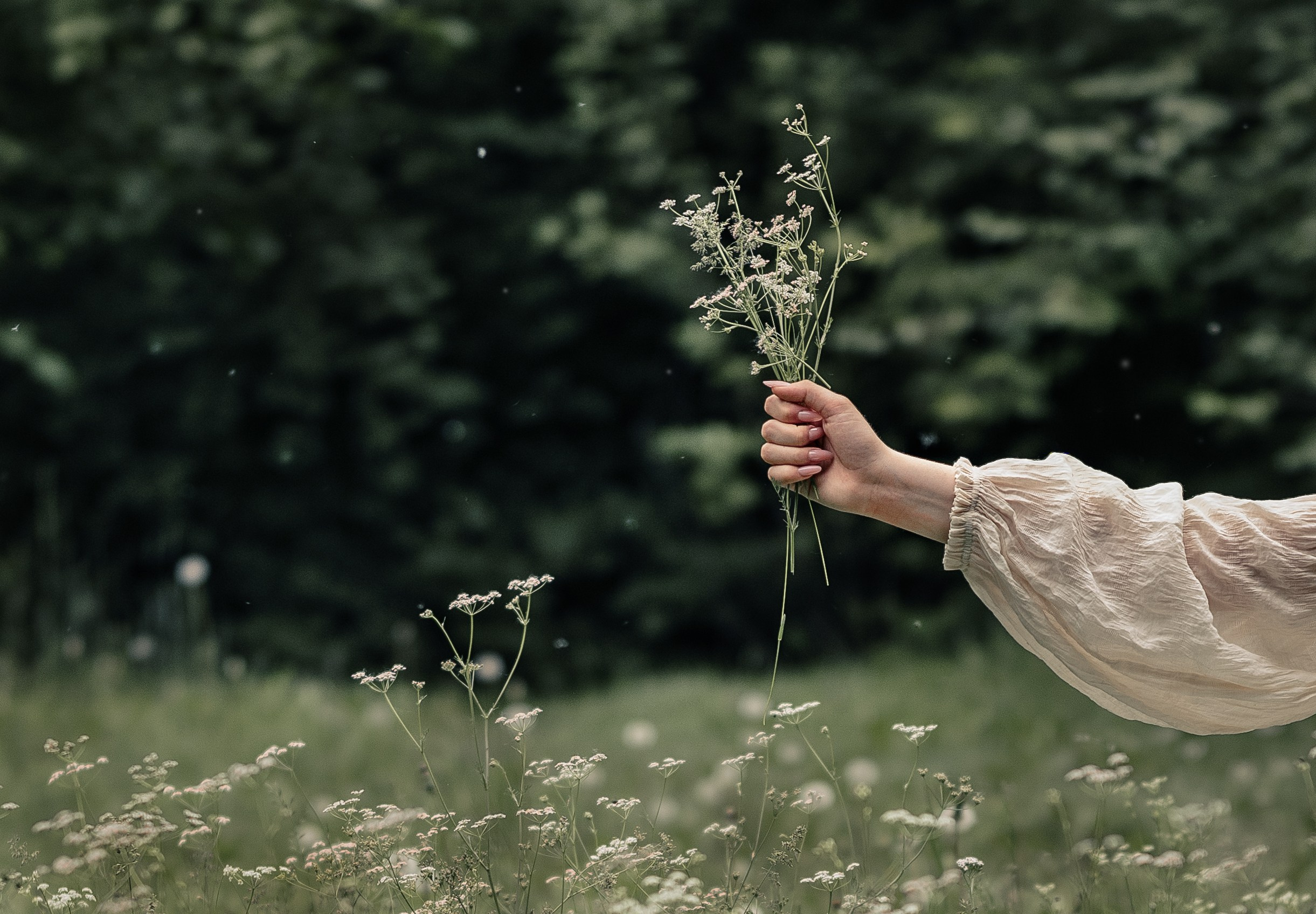 Валерия. Семейный фотограф Ульяна Сиденко — Иркутск
