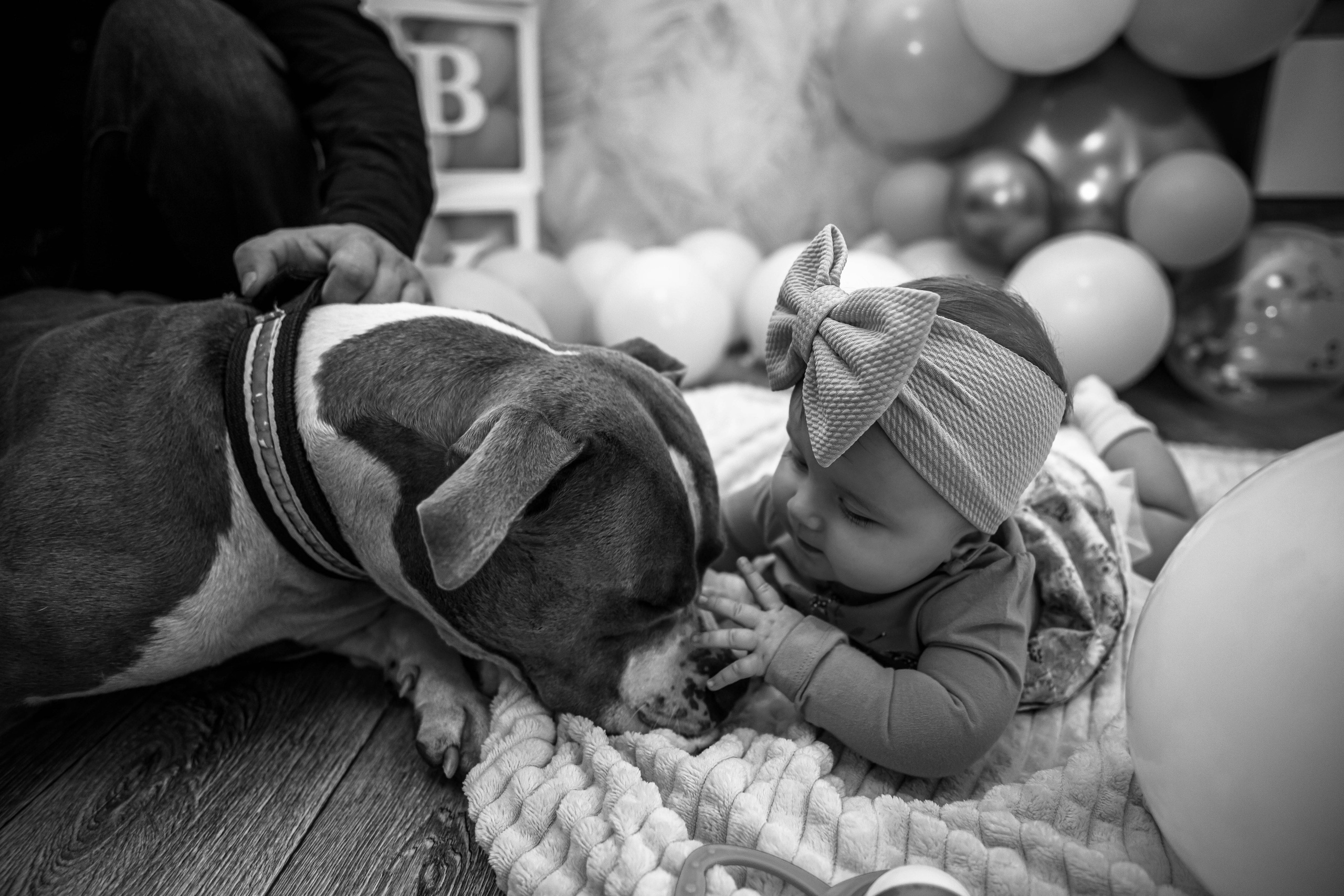 Виталине пол годика!. Фотограф Дарья Маташкова