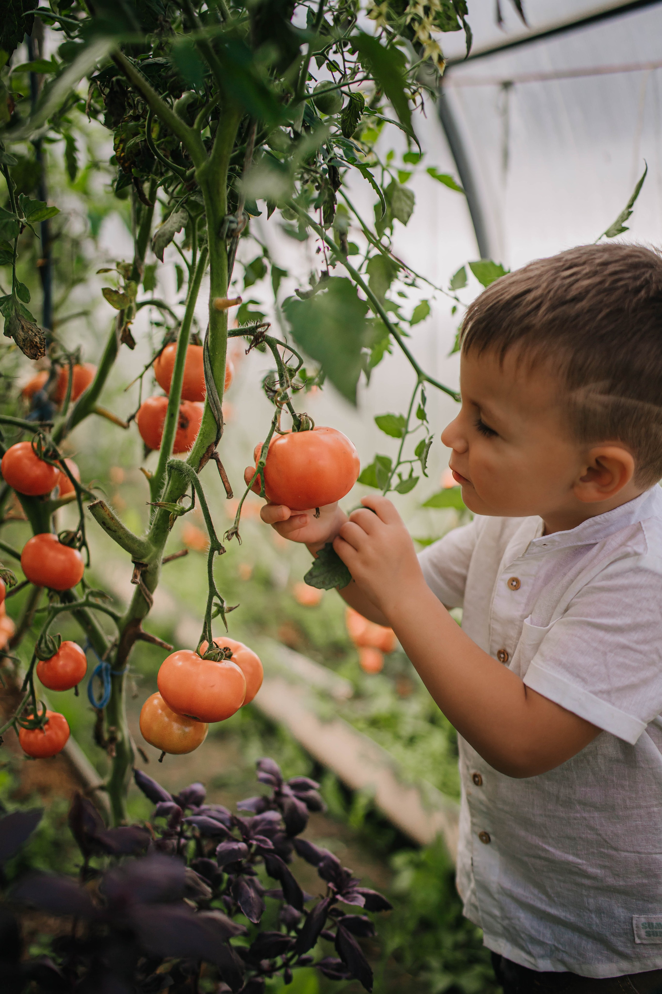 Богдану 3 годика!. Фотограф Дарья Маташкова