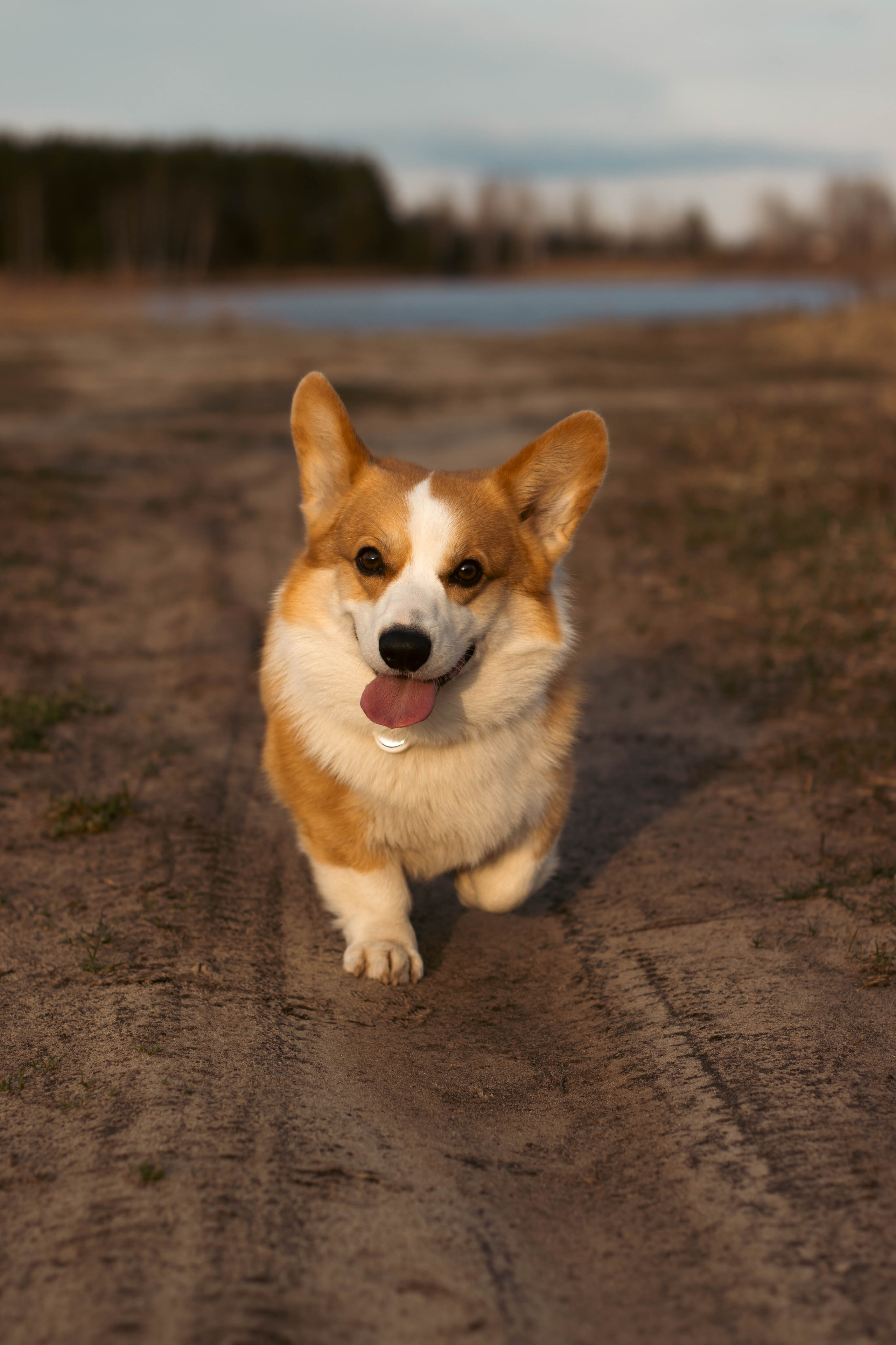 Деймик. Фотограф в Москве Ксюшенька