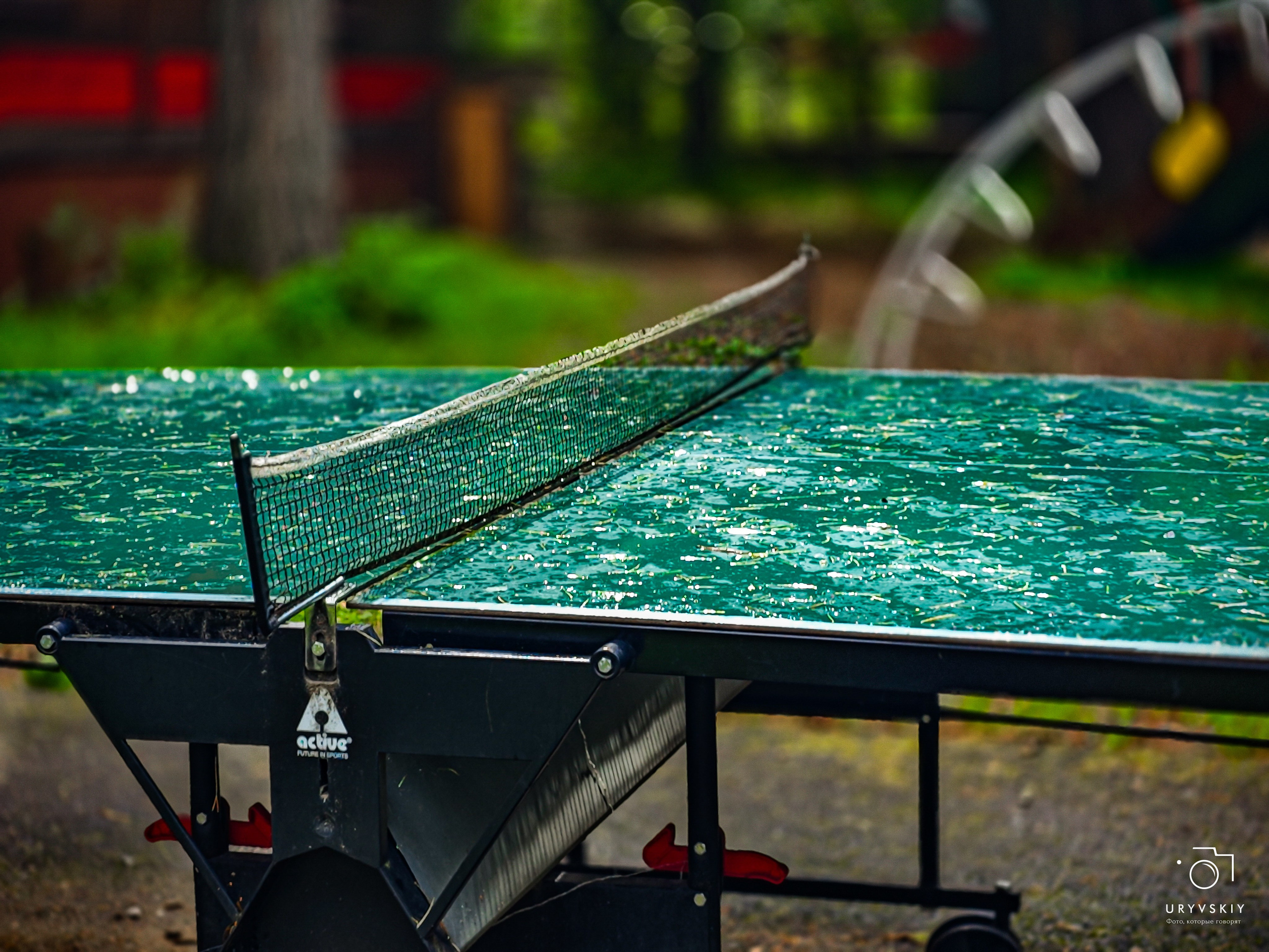 Командор, Хороший. День торговли 2025. Игорь Урывский. Фотограф Красноярск