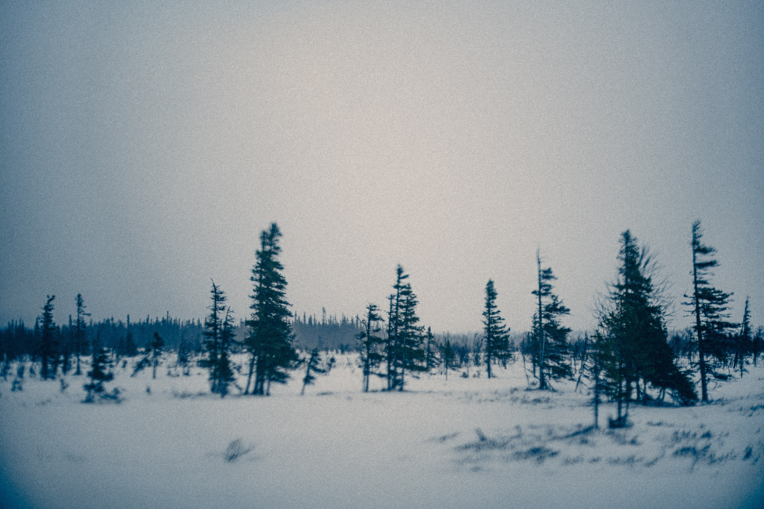 Священное озеро. Фотограф * Вячеслав Скоробогатов * Визульный Артист