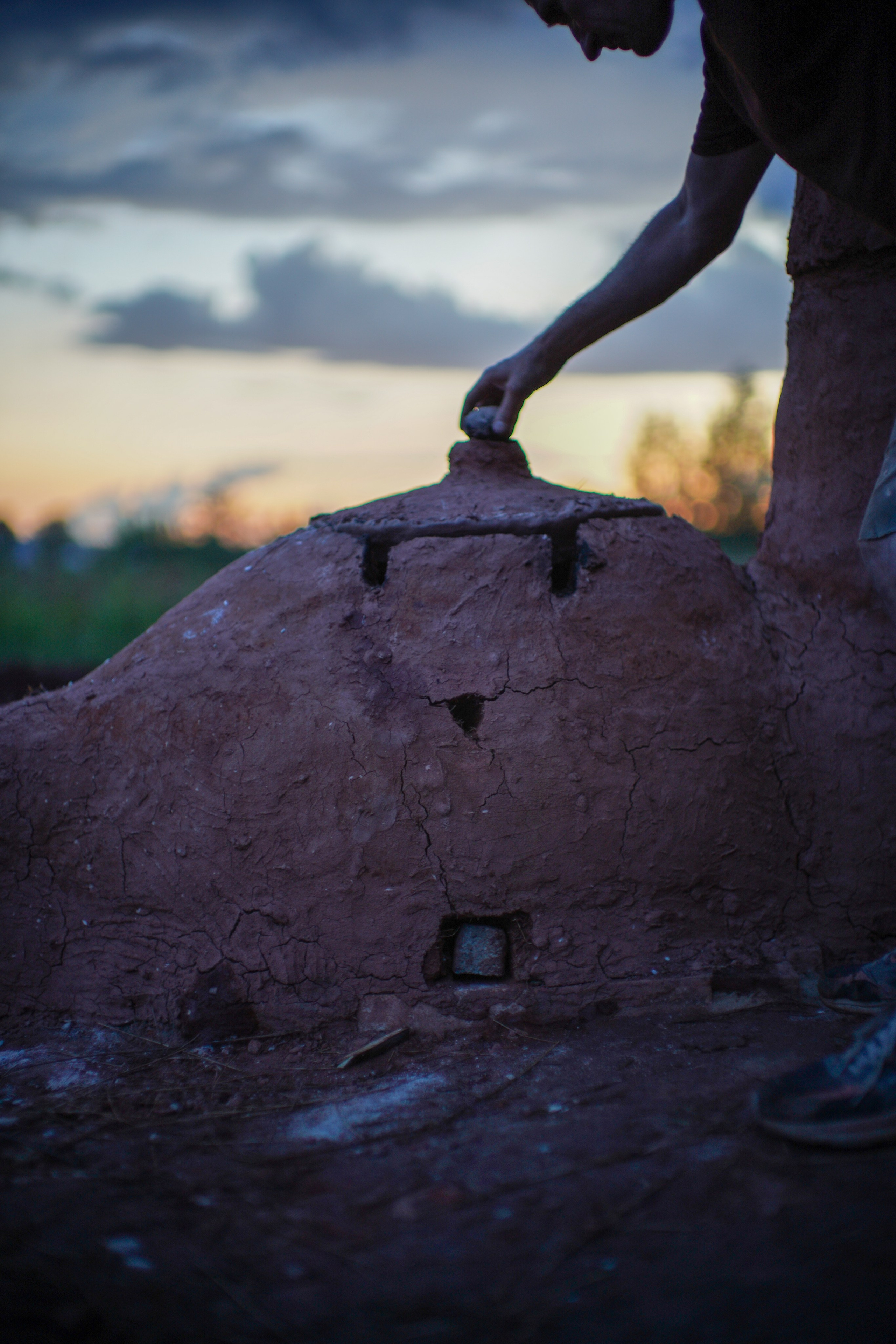 Wild fire 2024 — Дикий огонь 2024