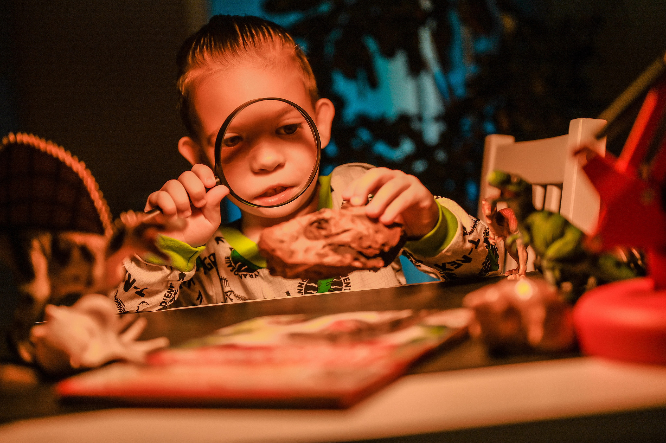 Детская домашняя кабинет натуралиста. Свадебный, семейный, детский, контент фотограф в Омске Максим Ильин