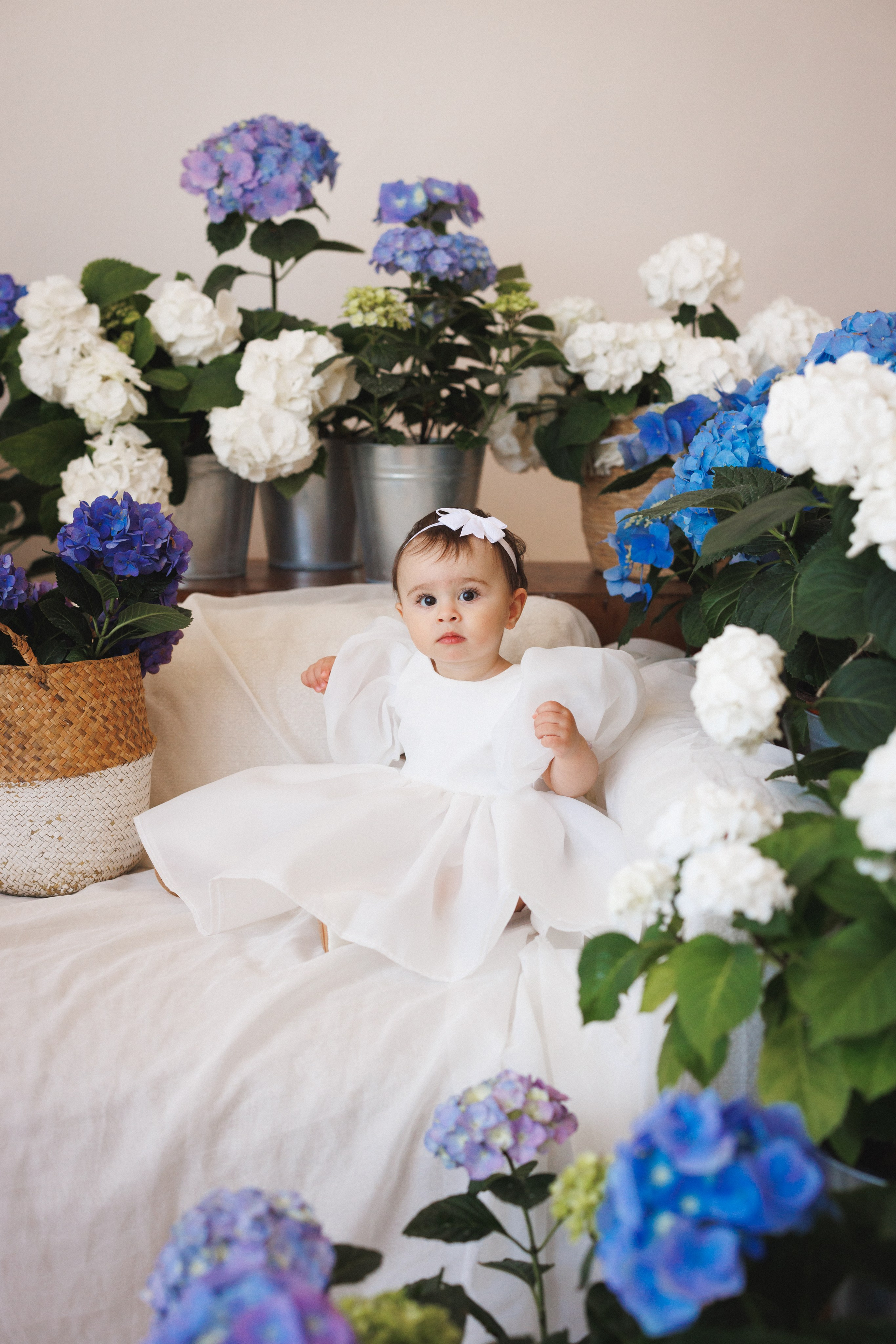 Фотосессия с живыми цветами Гортензии в фотостудии Space JOBS, город Краснодар. Семейный и детский фотограф в Краснодаре Анна Трашкова
