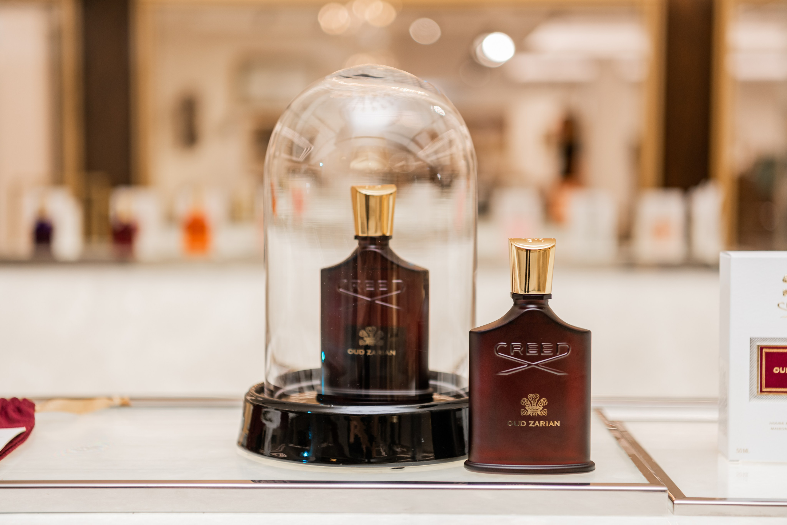 CREED. Фотограф Астана, Алматы