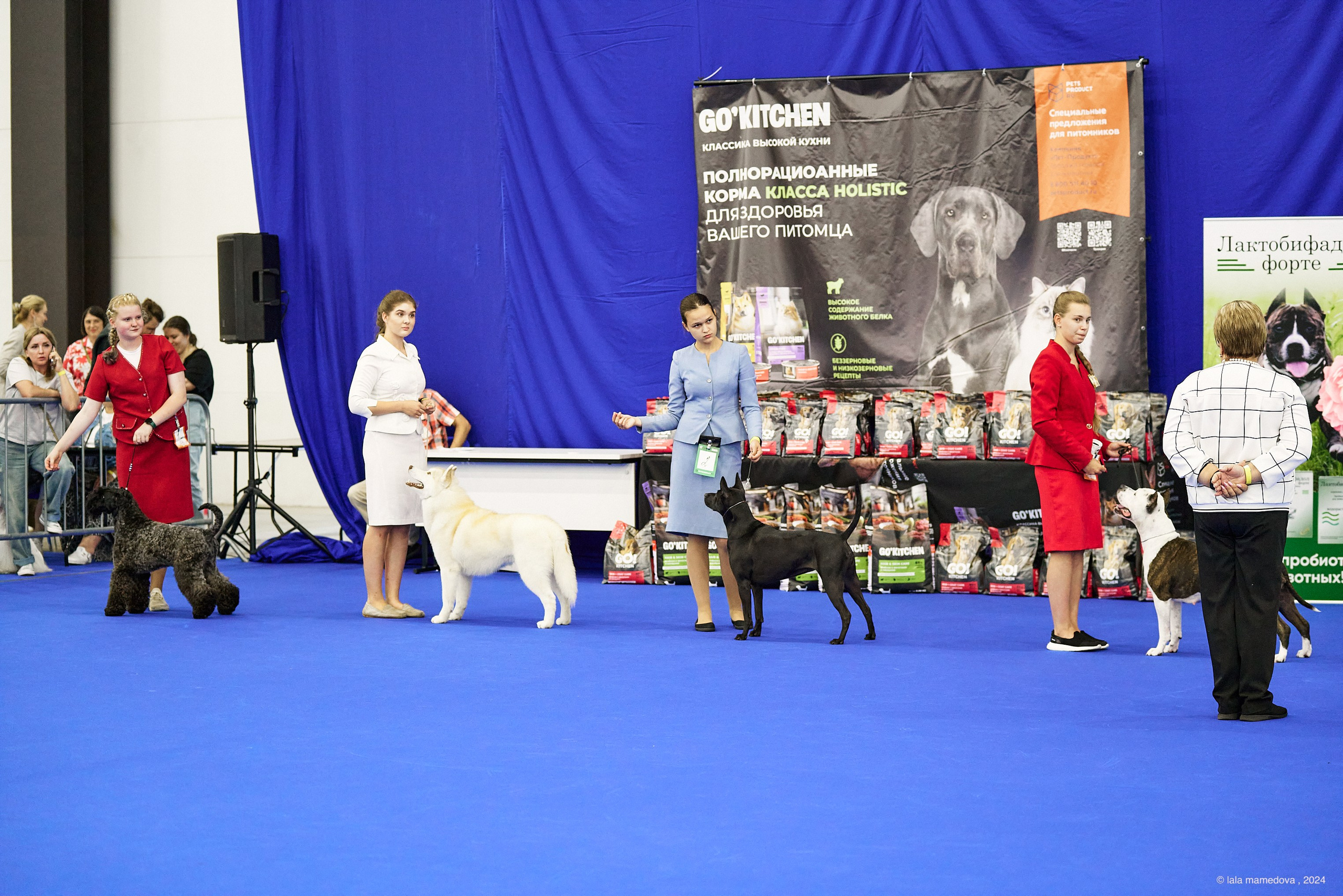 20.07.2024 | «БАЛТИК-ШОУ-1-2024»