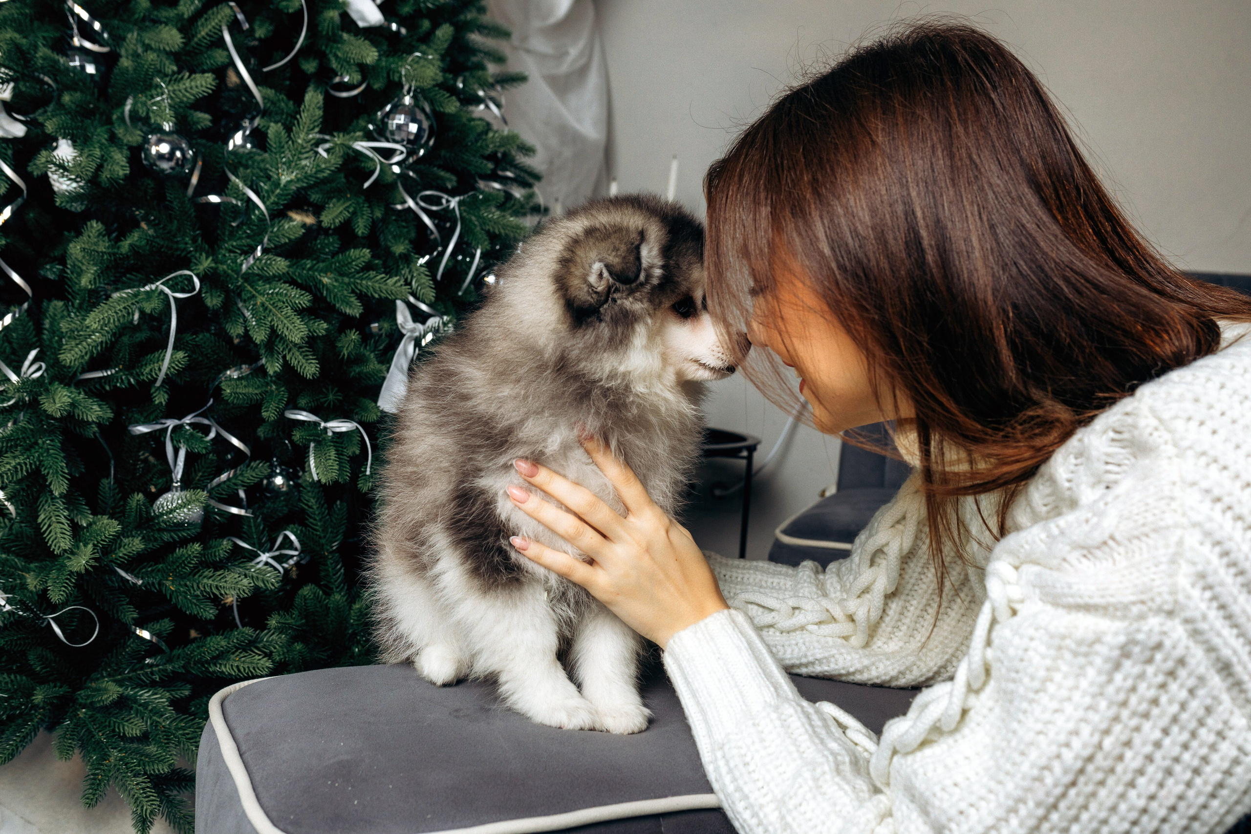 Съёмка со щенками