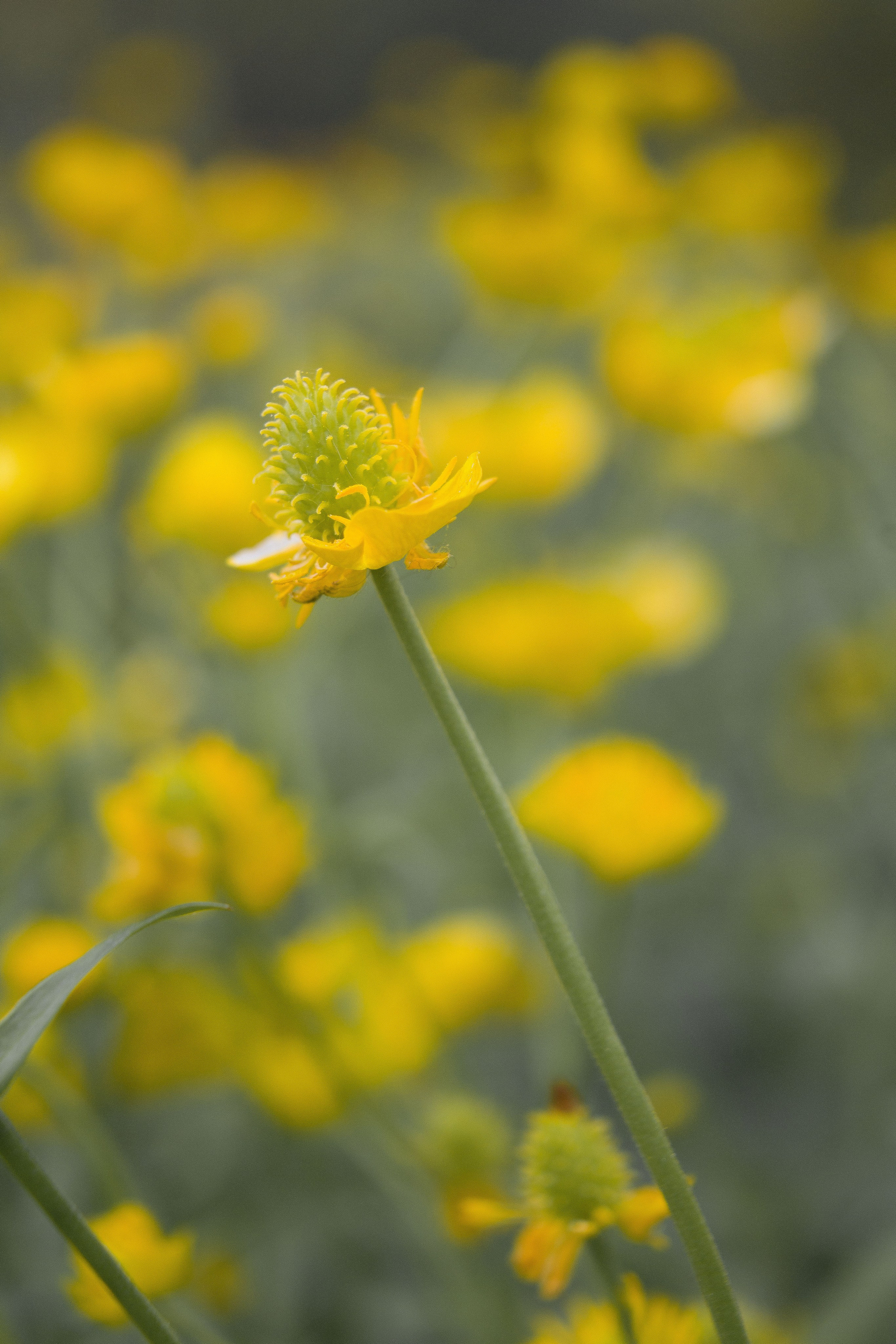 Природное. Обо всём