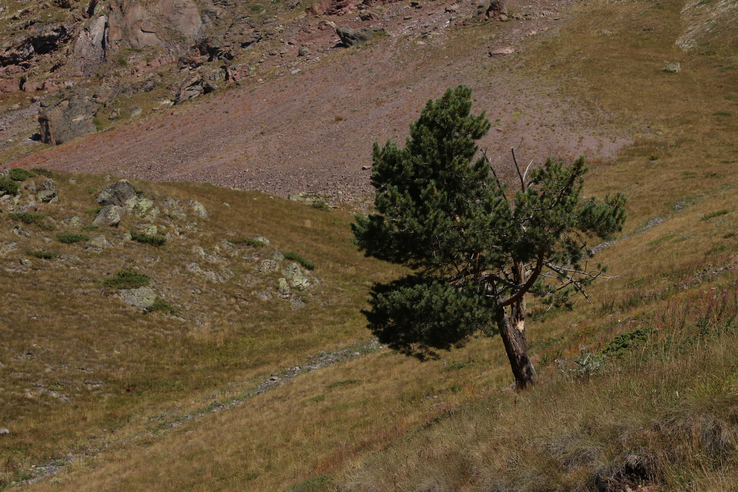 Приэльбрусье. Сентябрь 2023. Путешественник-фотограф из Санкт-Петербурга Татьяна Свистулина