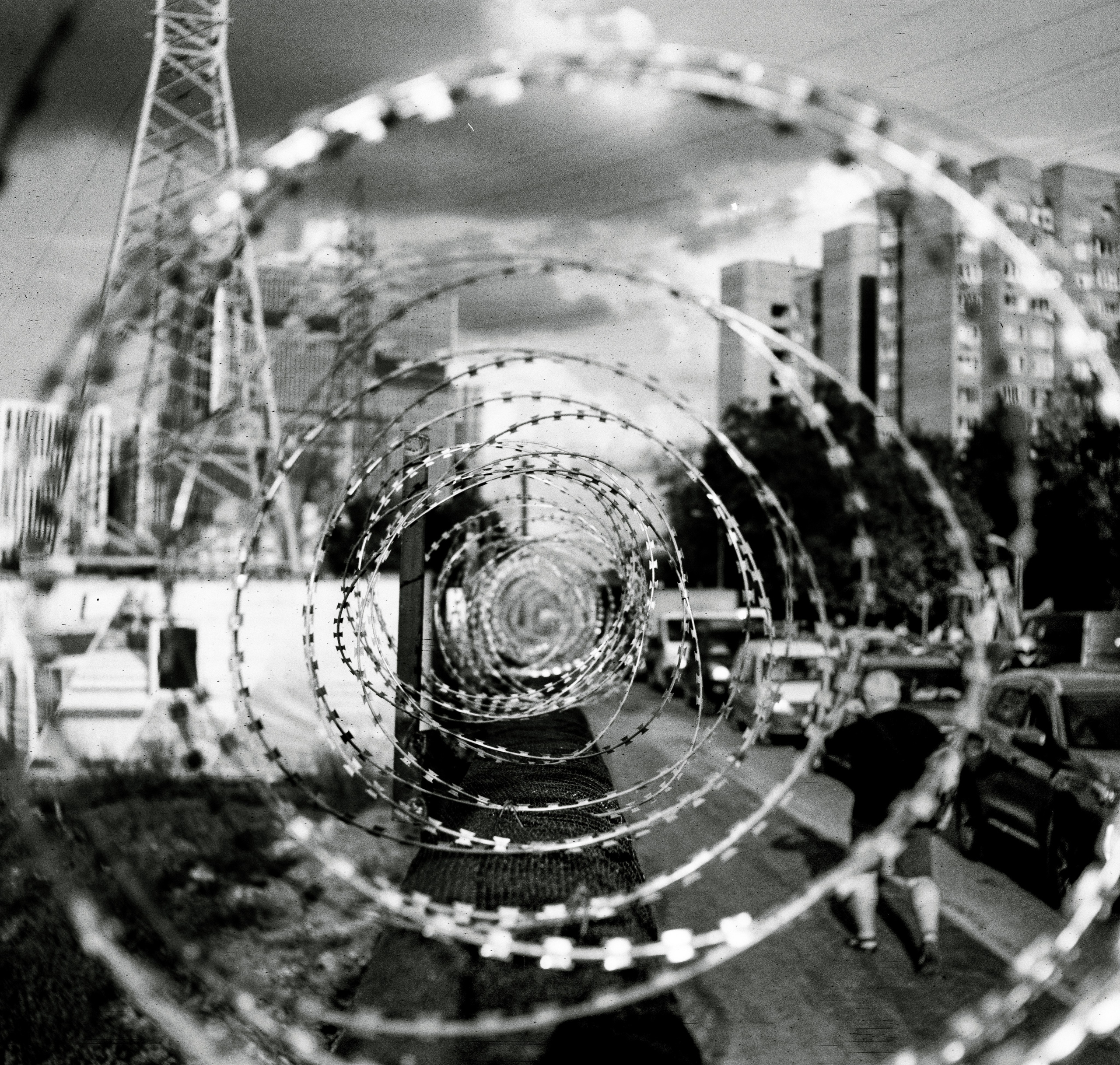 Landscape+. Arseny Sapelkin