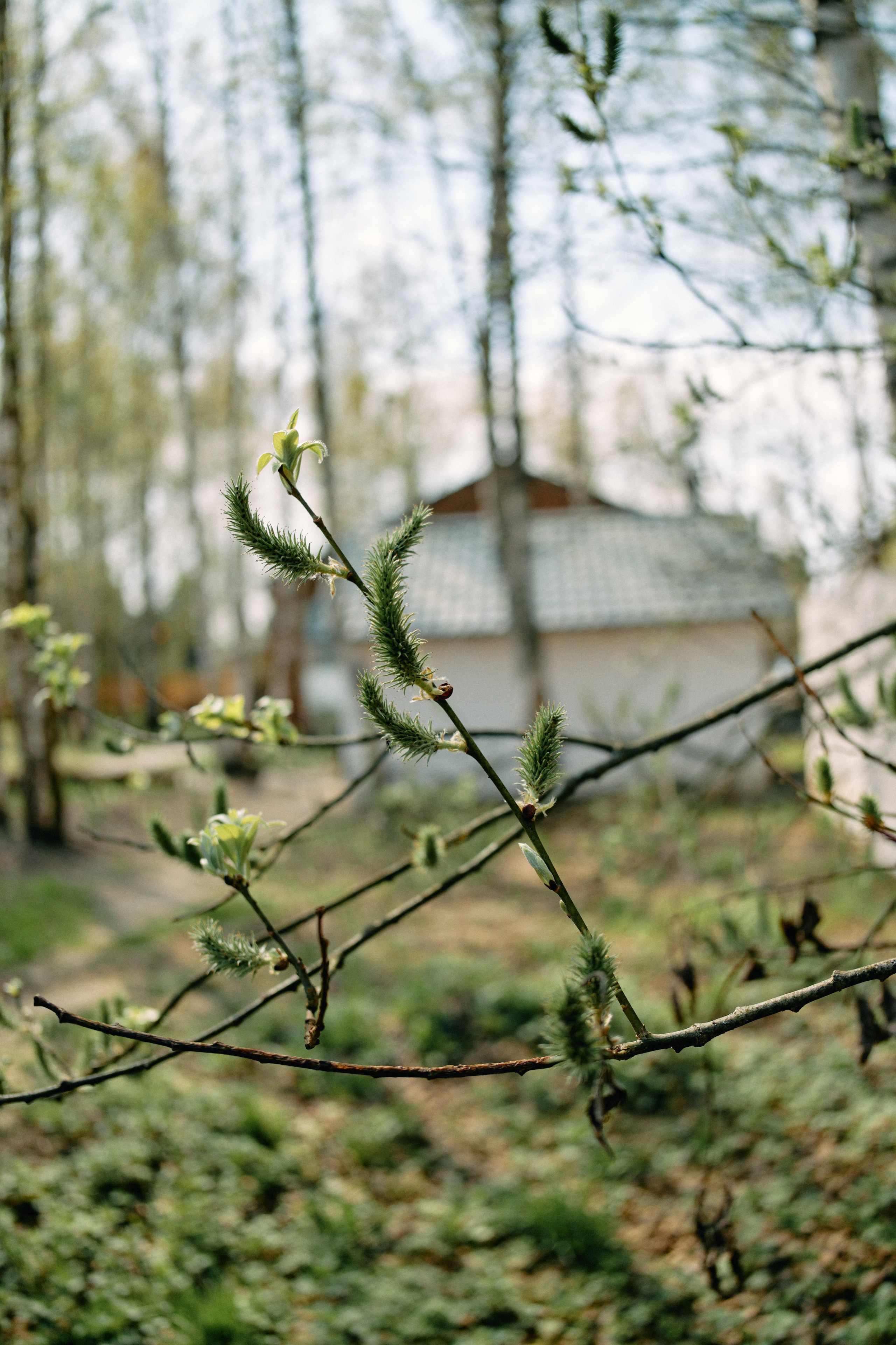 Бутик-отель Поле летом. Профессиональный Фотограф во Владимире, в Москве и в Суздале — Полина Романычева