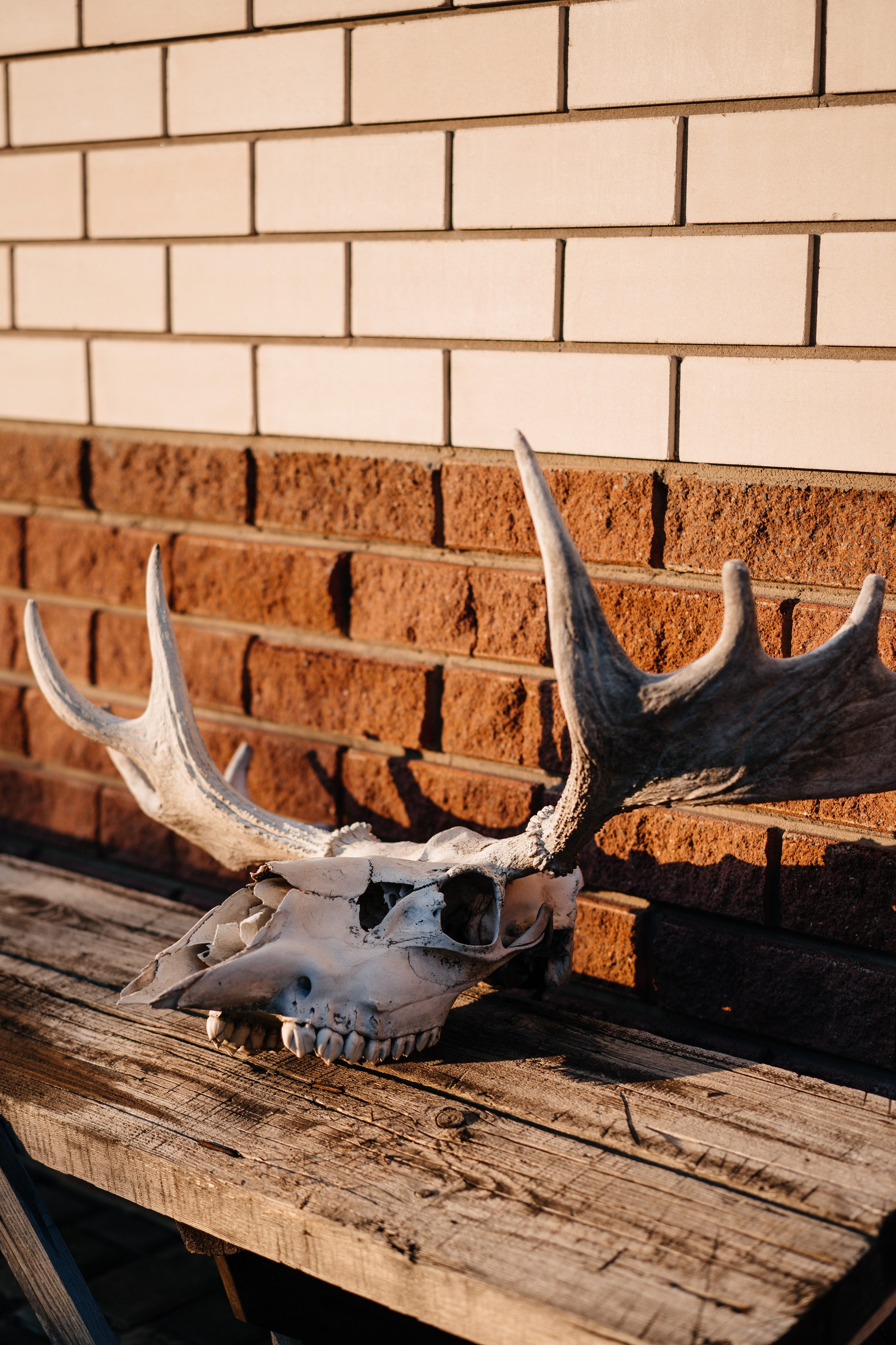 История одного предсвадебного вечера