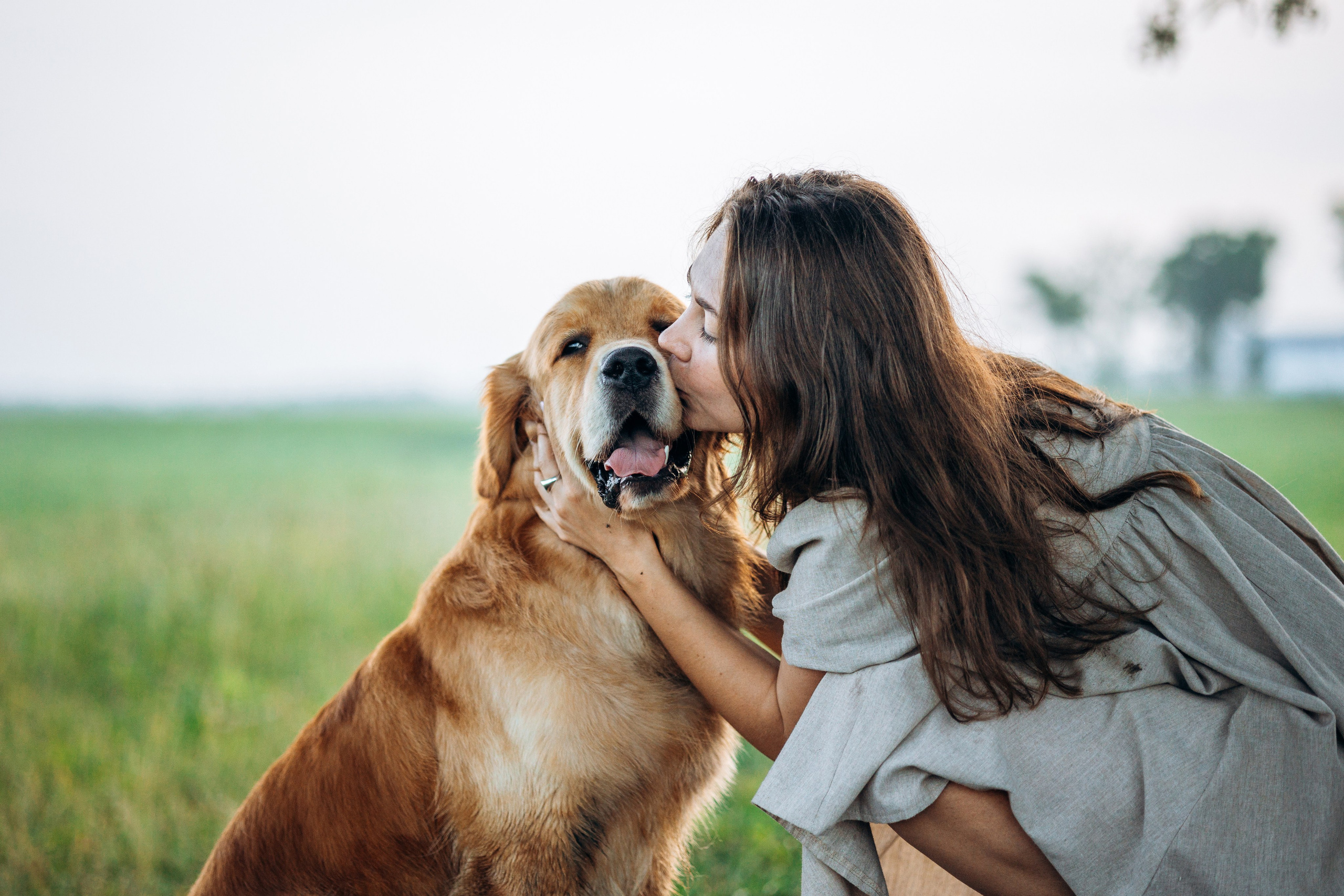 Аня и Ноллан. Фотограф — Анималист | Санкт-Петербург