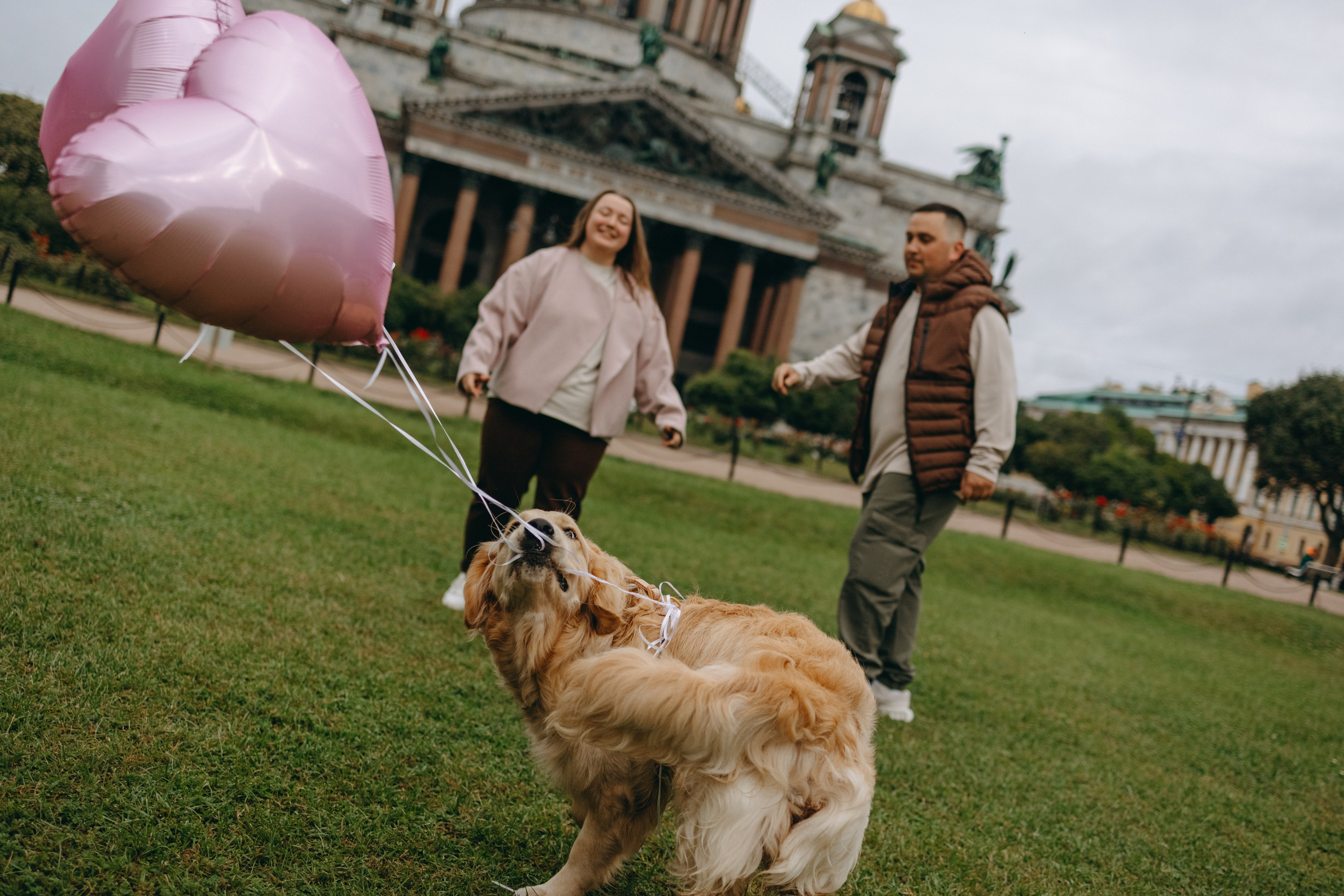 Бетти и ее семья. Фотограф — Анималист | Санкт-Петербург