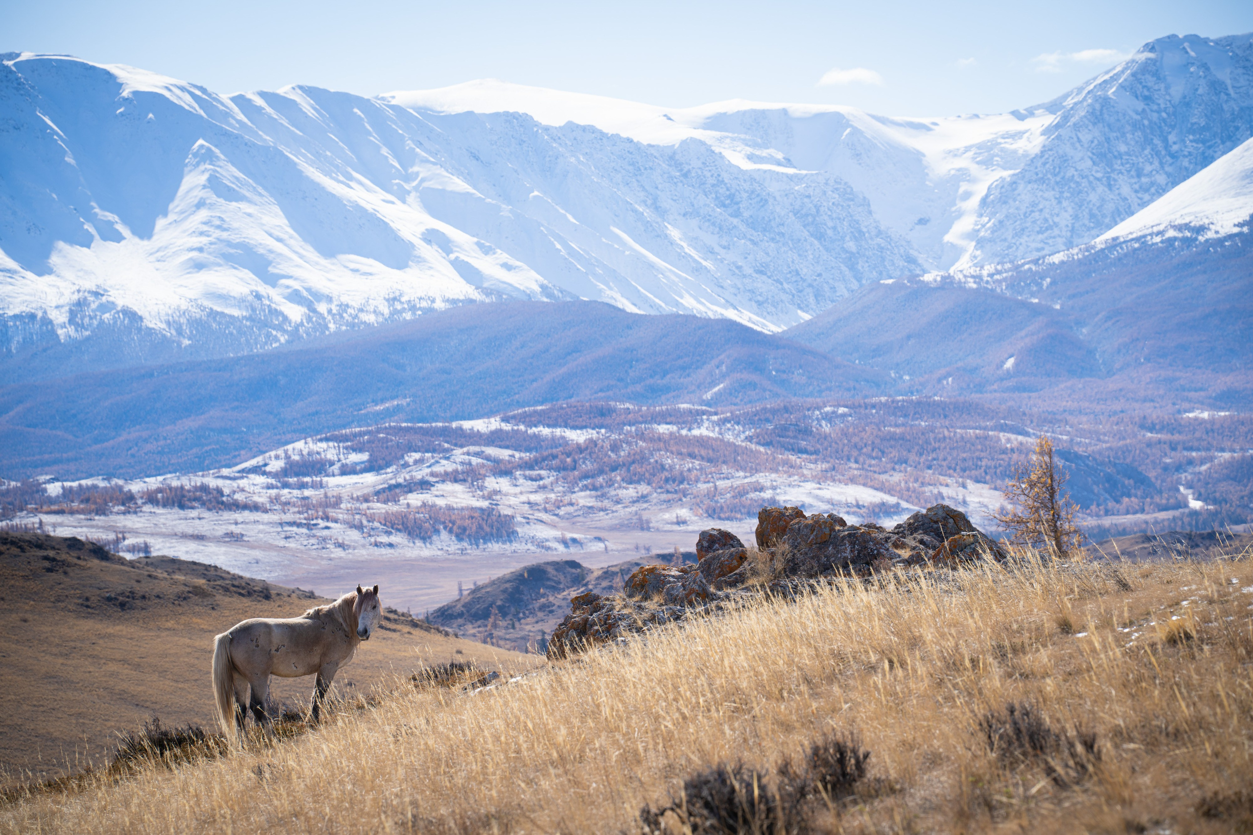 Чуйский тракт. Фотографии Тиграна Худавердяна