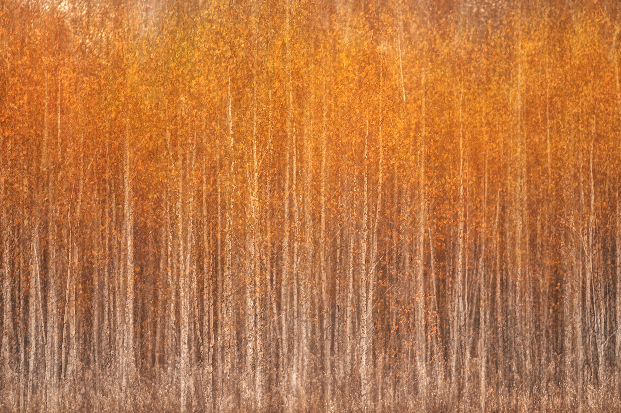 Курганская область. Портретный фотограф в Челябинске Катерина Руди