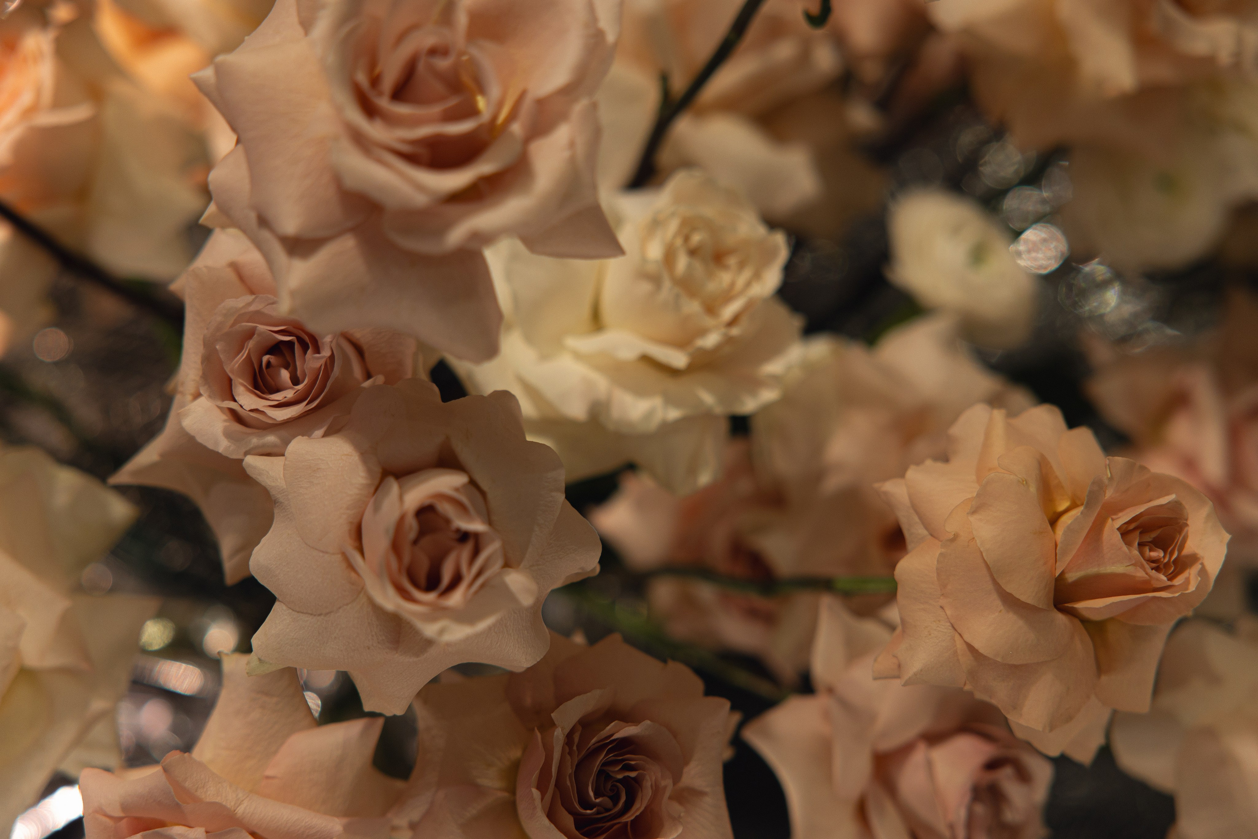 WIN WIN. Свадебный и репортажный фотограф Анастасия Алашеева