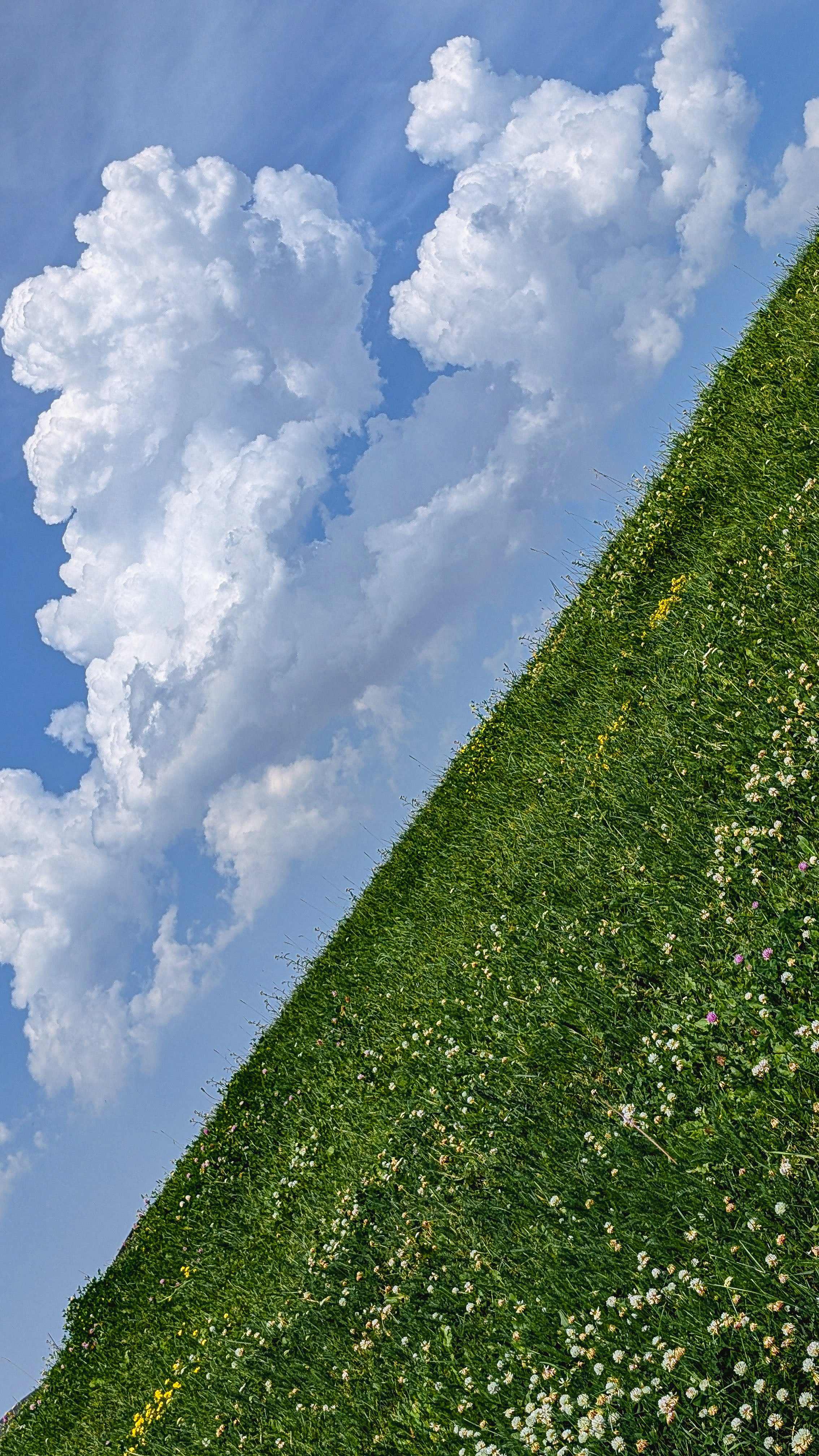 Мобильная фотография. Интерьерный и портретный фотограф в Москве Анна Моногарова