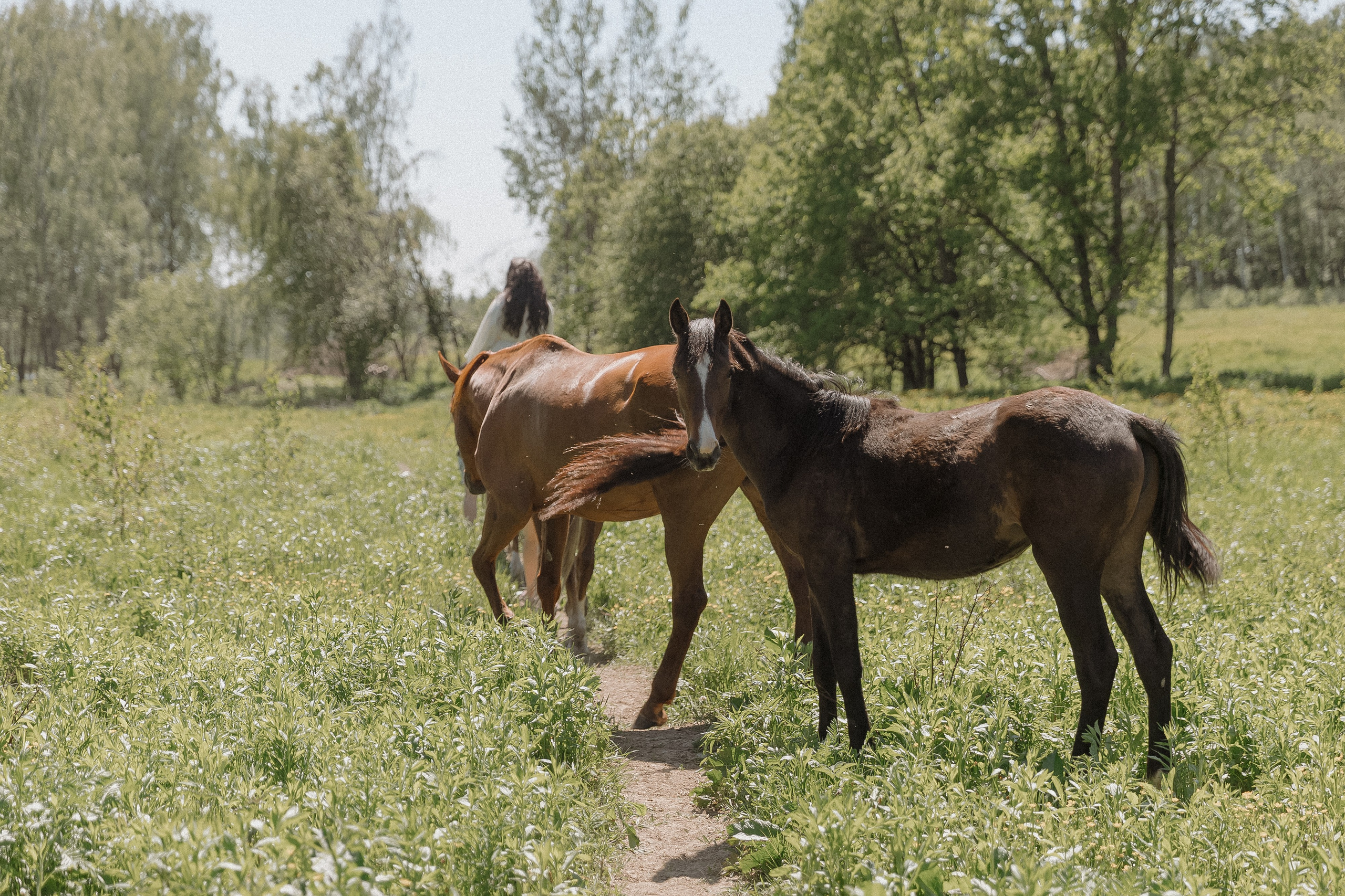 Wedding day Андрей и Анастасия. Свадебный фотограф Колесников Антон