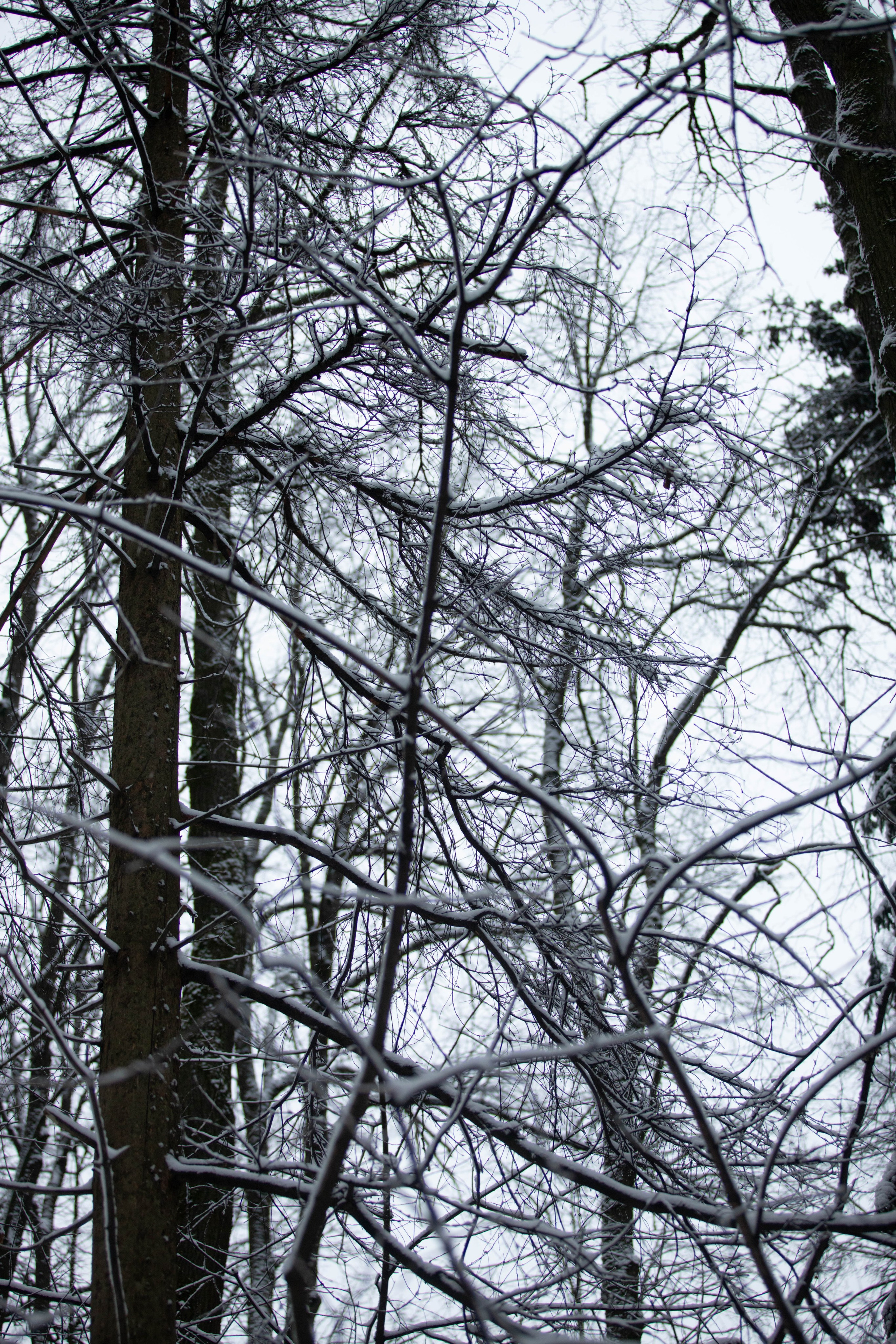 Марафон у дома_Бунино. Александра Мельниченко/ Бегающий фотограф