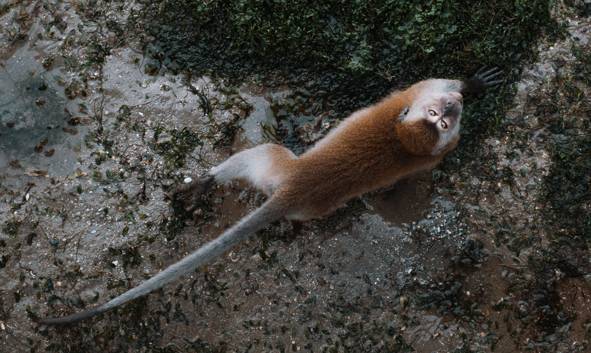 Путешествия. Портретный фотограф в Москве Эмиль Халиков