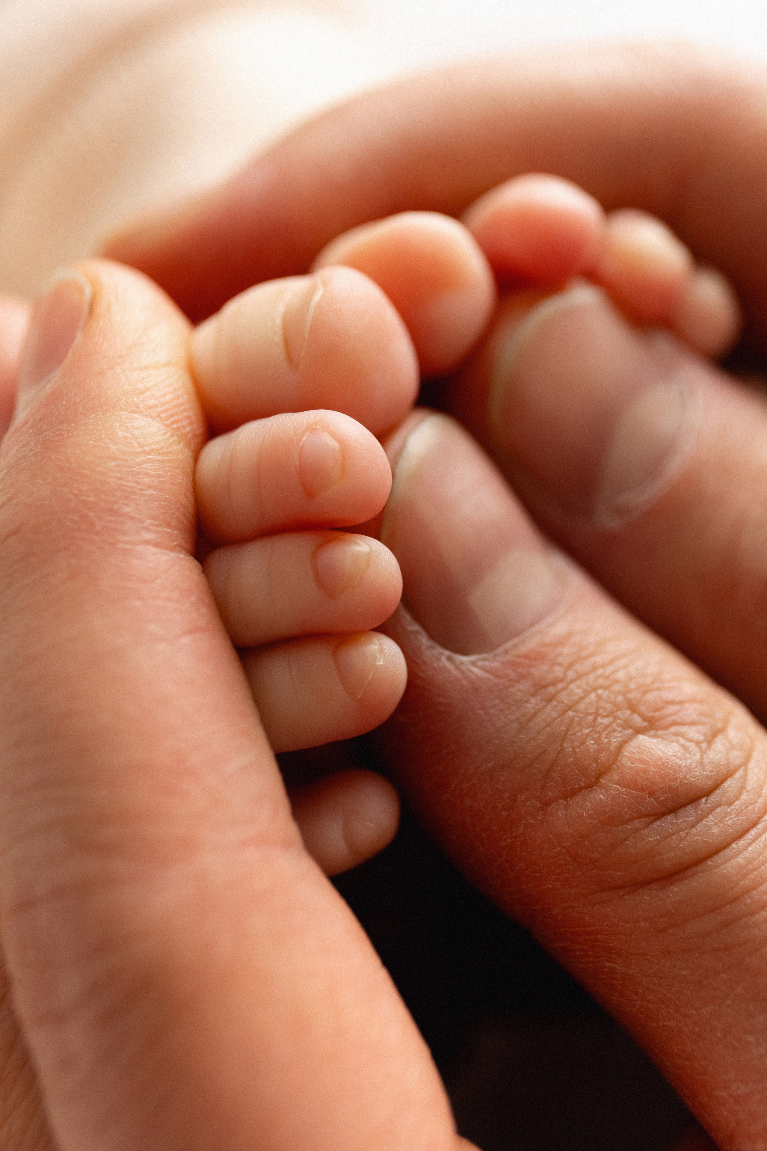 Фотосессия новорожденных в Мурманске, фотограф новорожденных. Мария Махинина — фотограф в Мурманске и Североморске