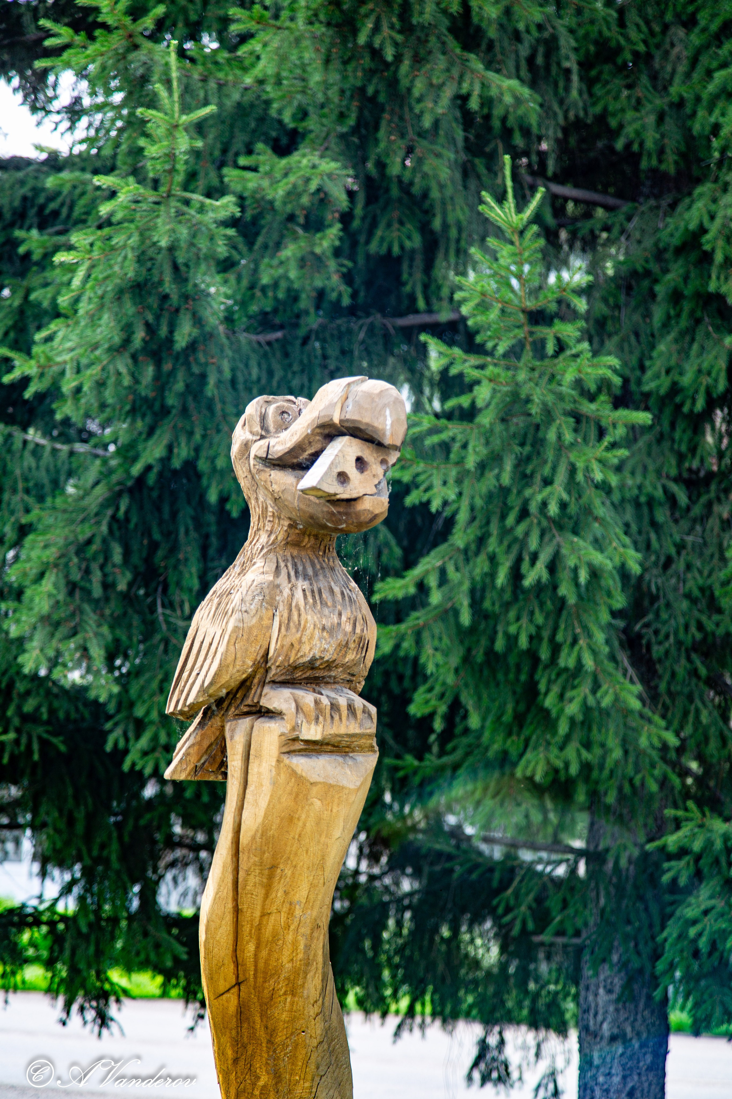 Калачинск 07.07.2024. Фотограф Омск | Александр Вандеров